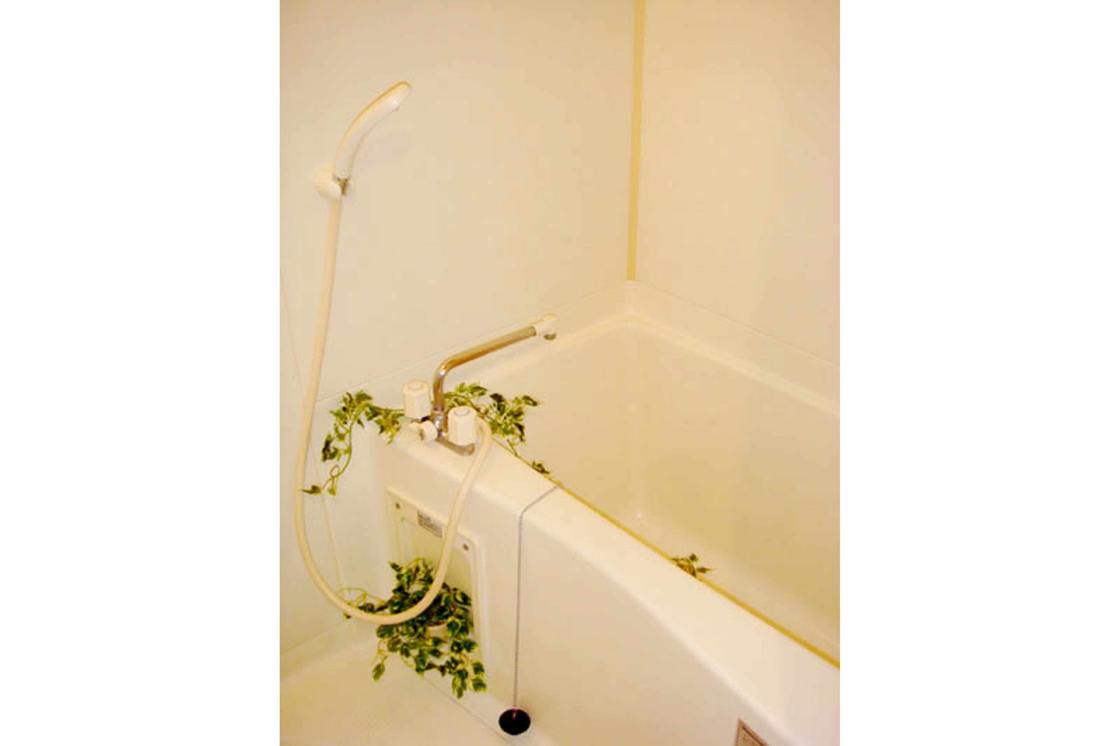 スタンダードタイプのイメージ