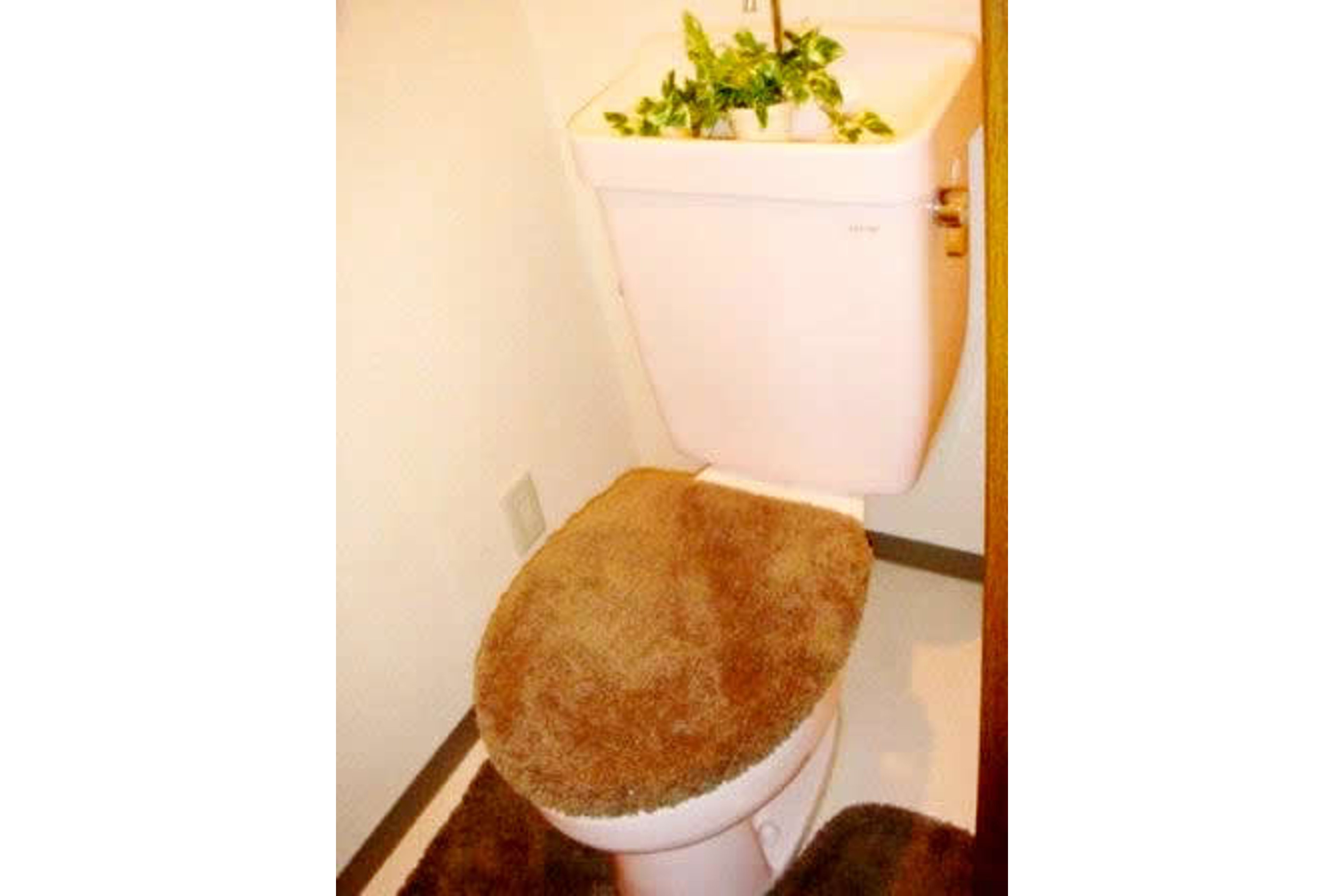 スタンダードタイプのイメージ