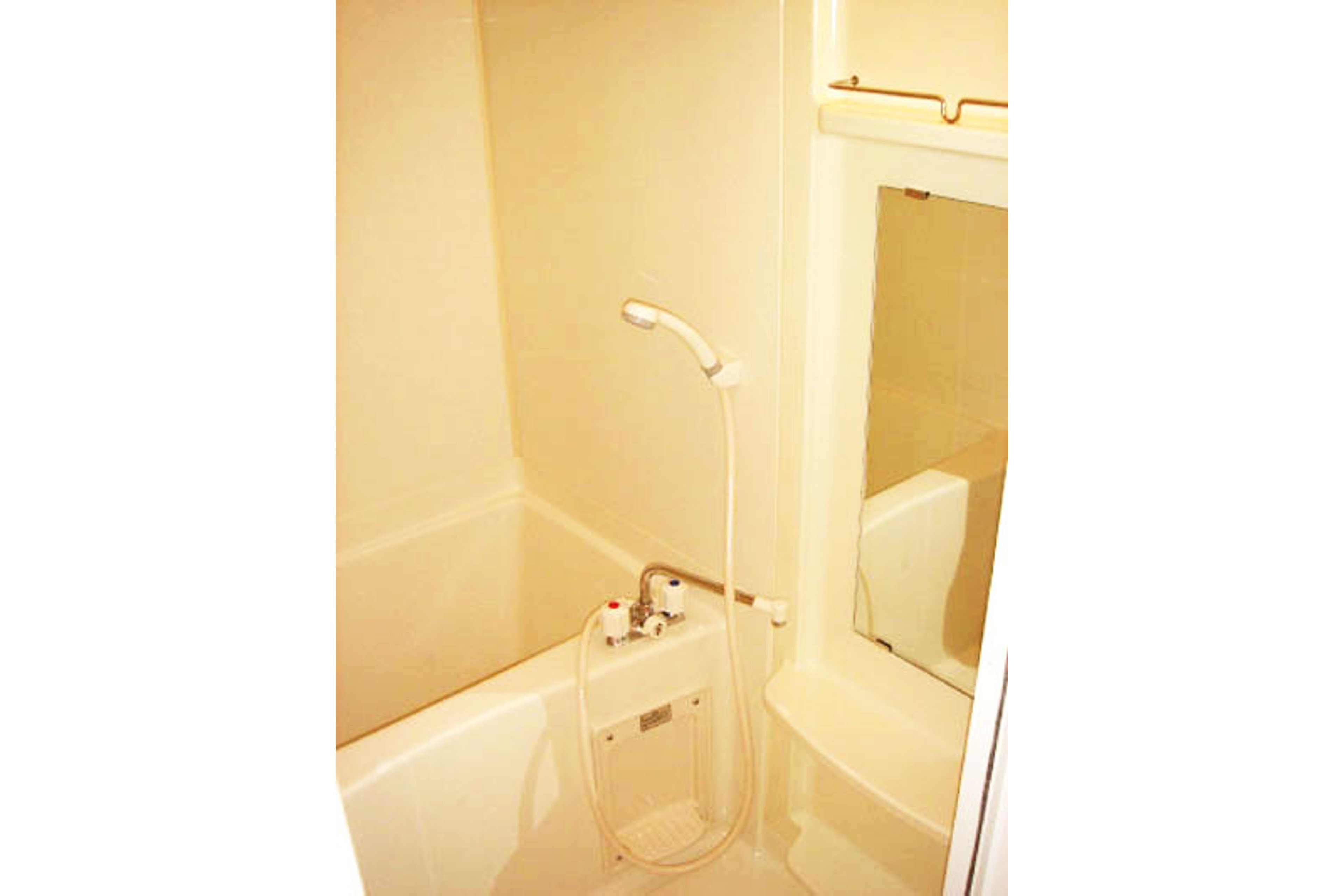 スタンダードタイプのイメージ