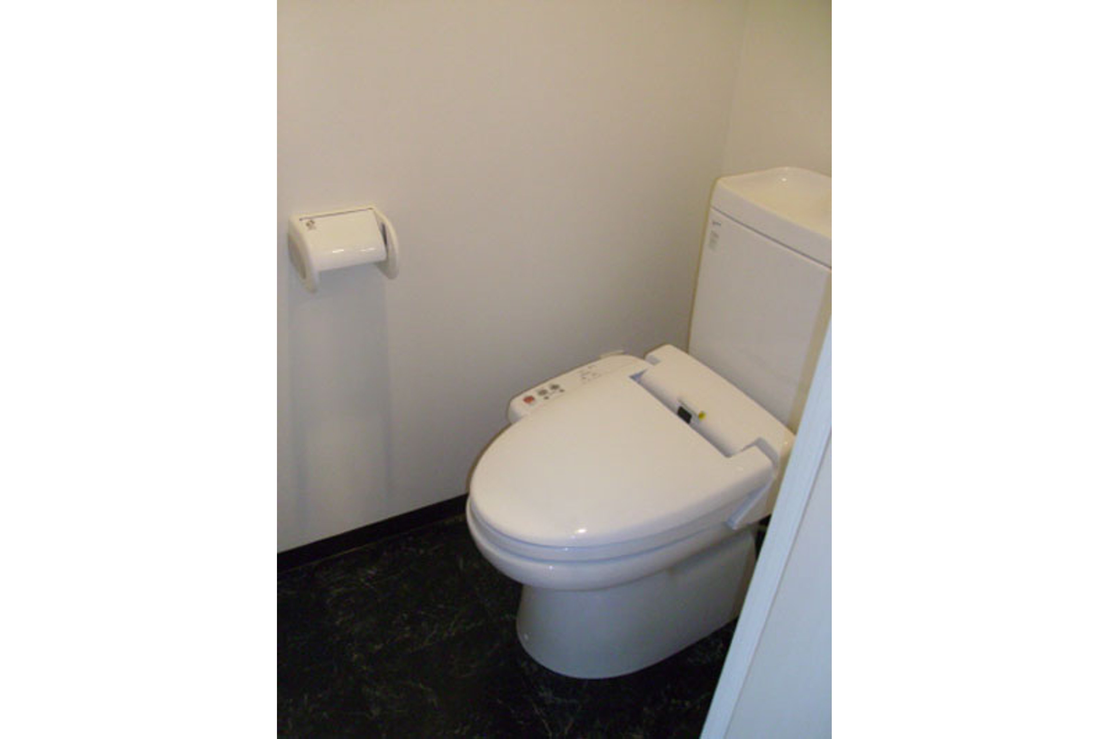 プラチナタイプのイメージ