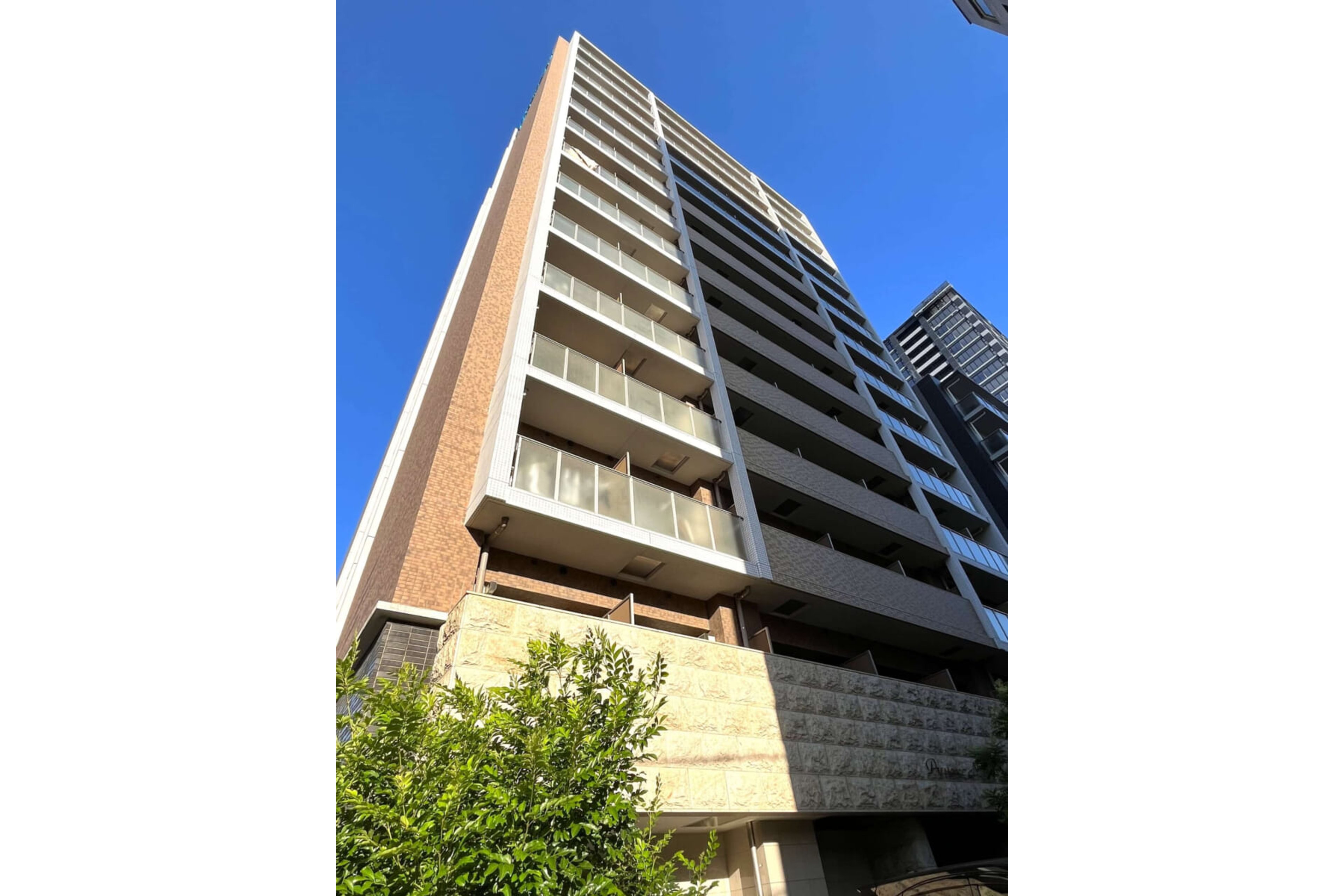 ハイグレードタイプのイメージ