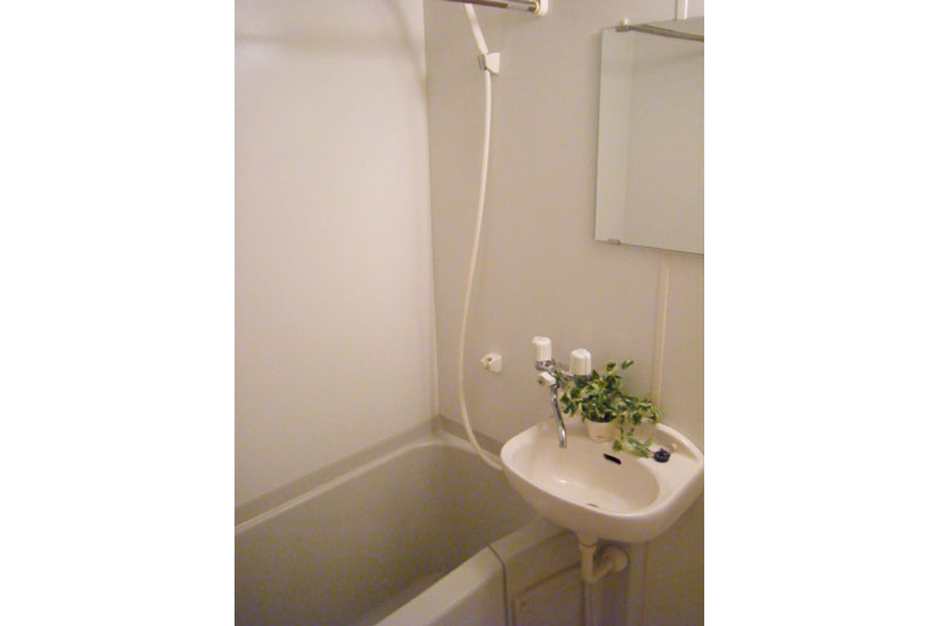 ハイグレードタイプのイメージ