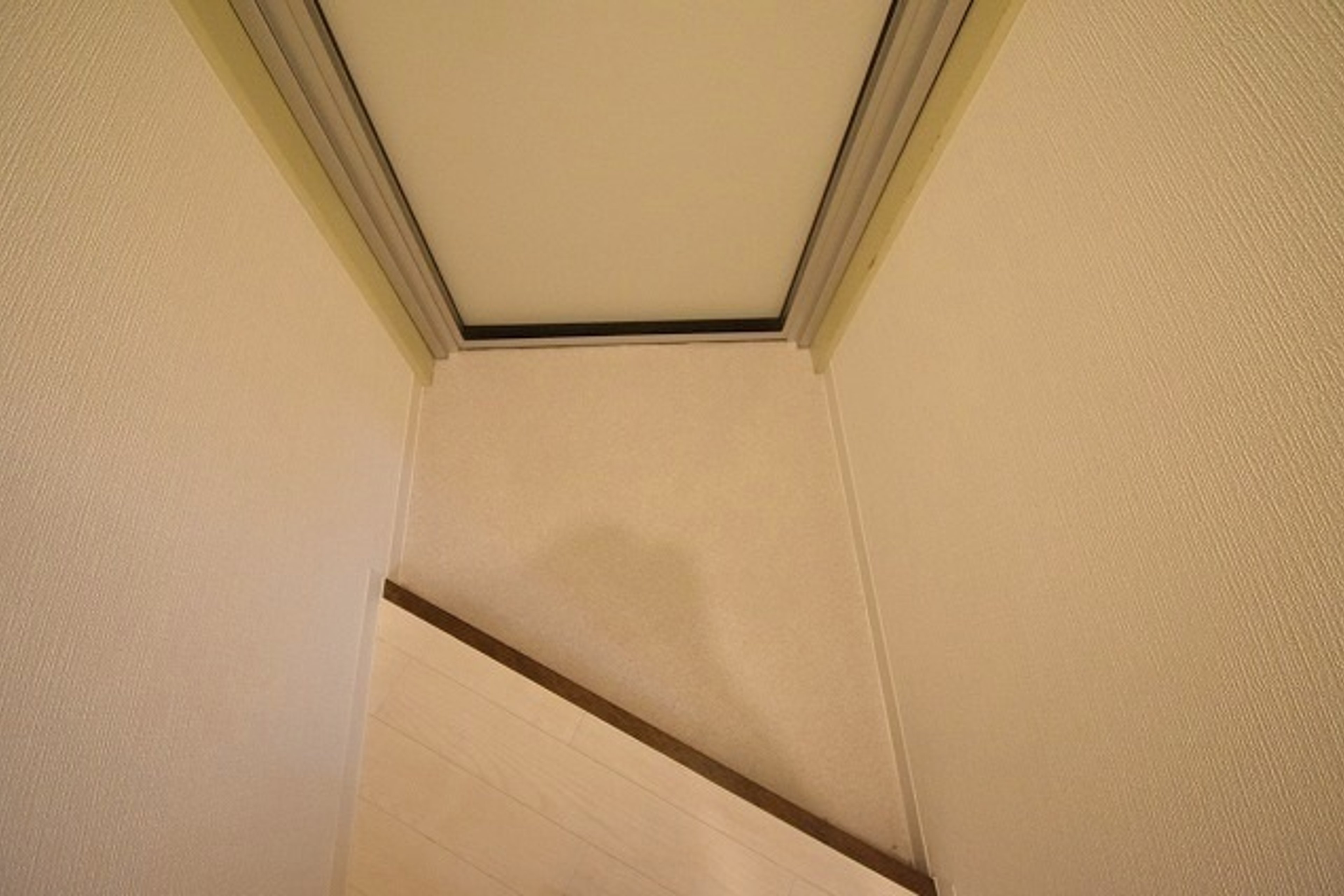 バリュータイプのイメージ