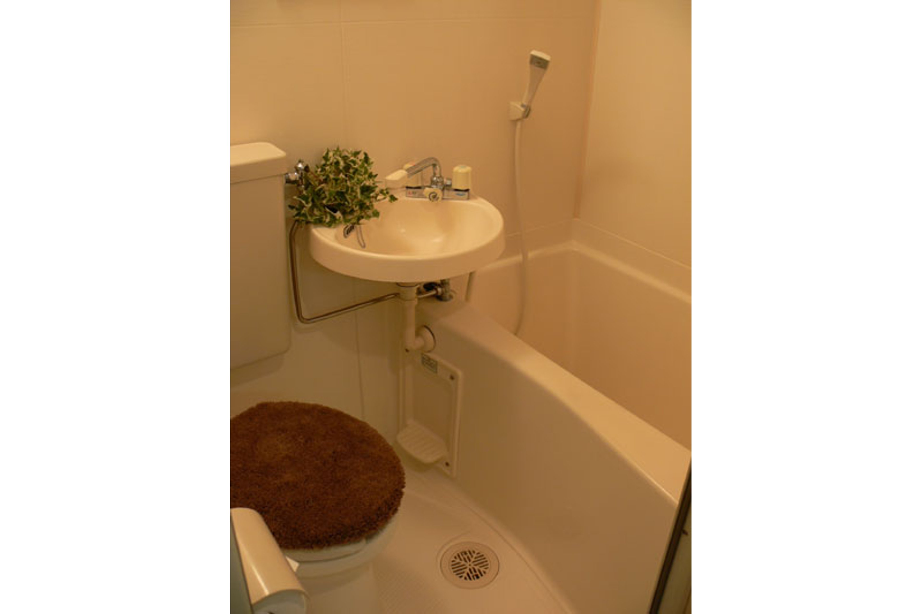 バリュータイプのイメージ