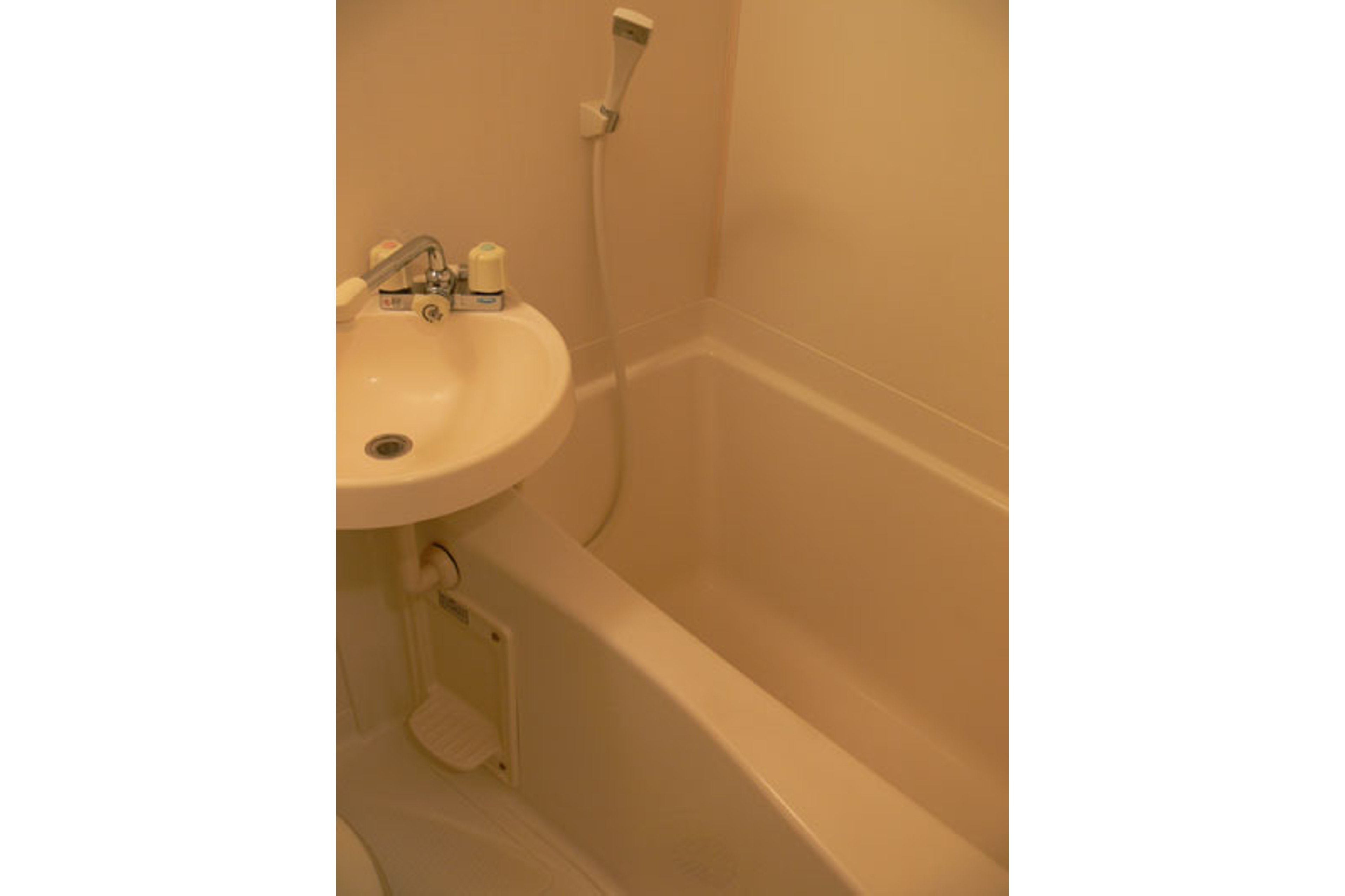 バリュータイプのイメージ