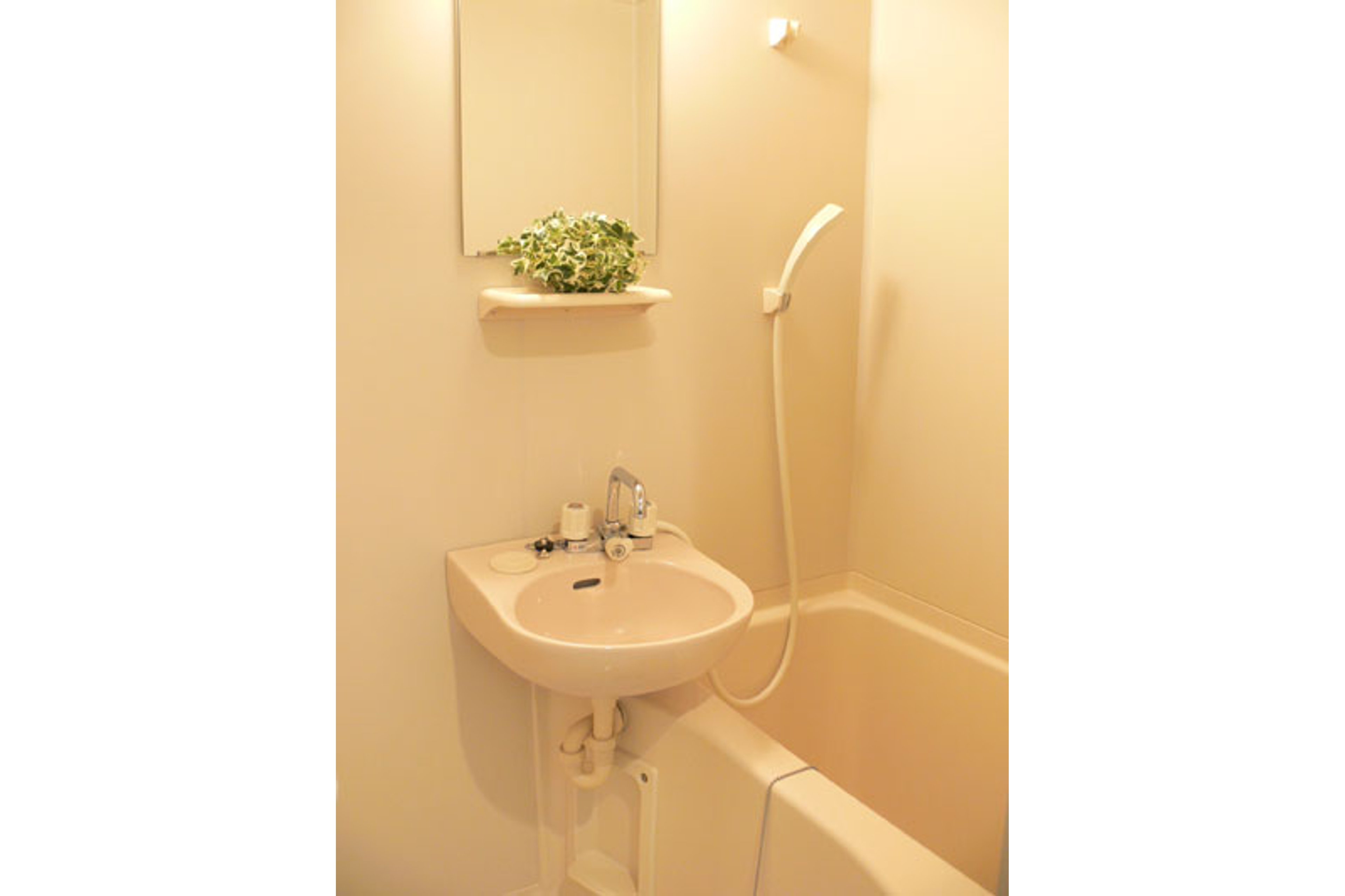 バリュータイプのイメージ