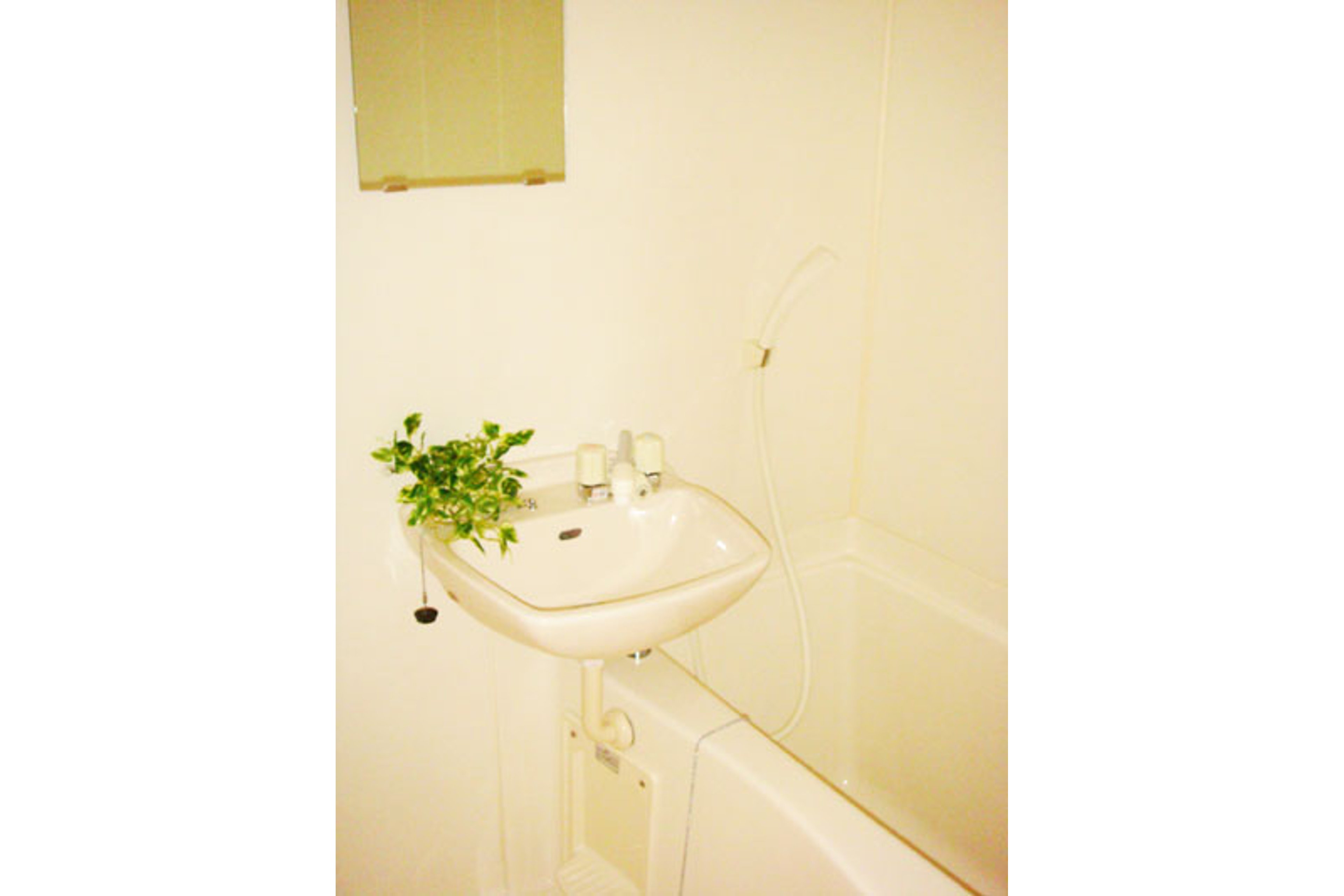 バリュータイプのイメージ