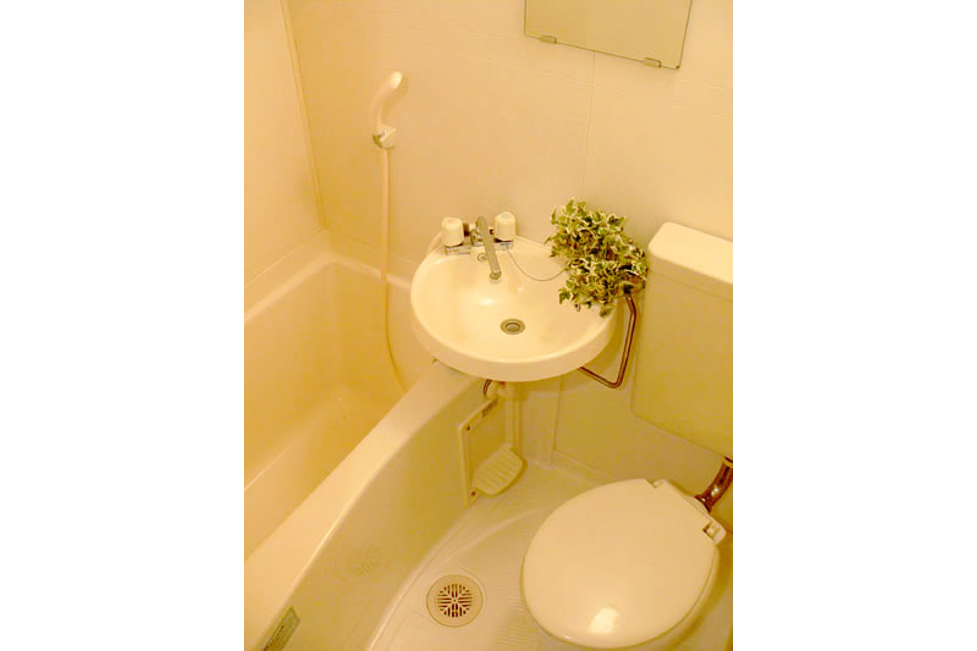 バリュータイプのイメージ