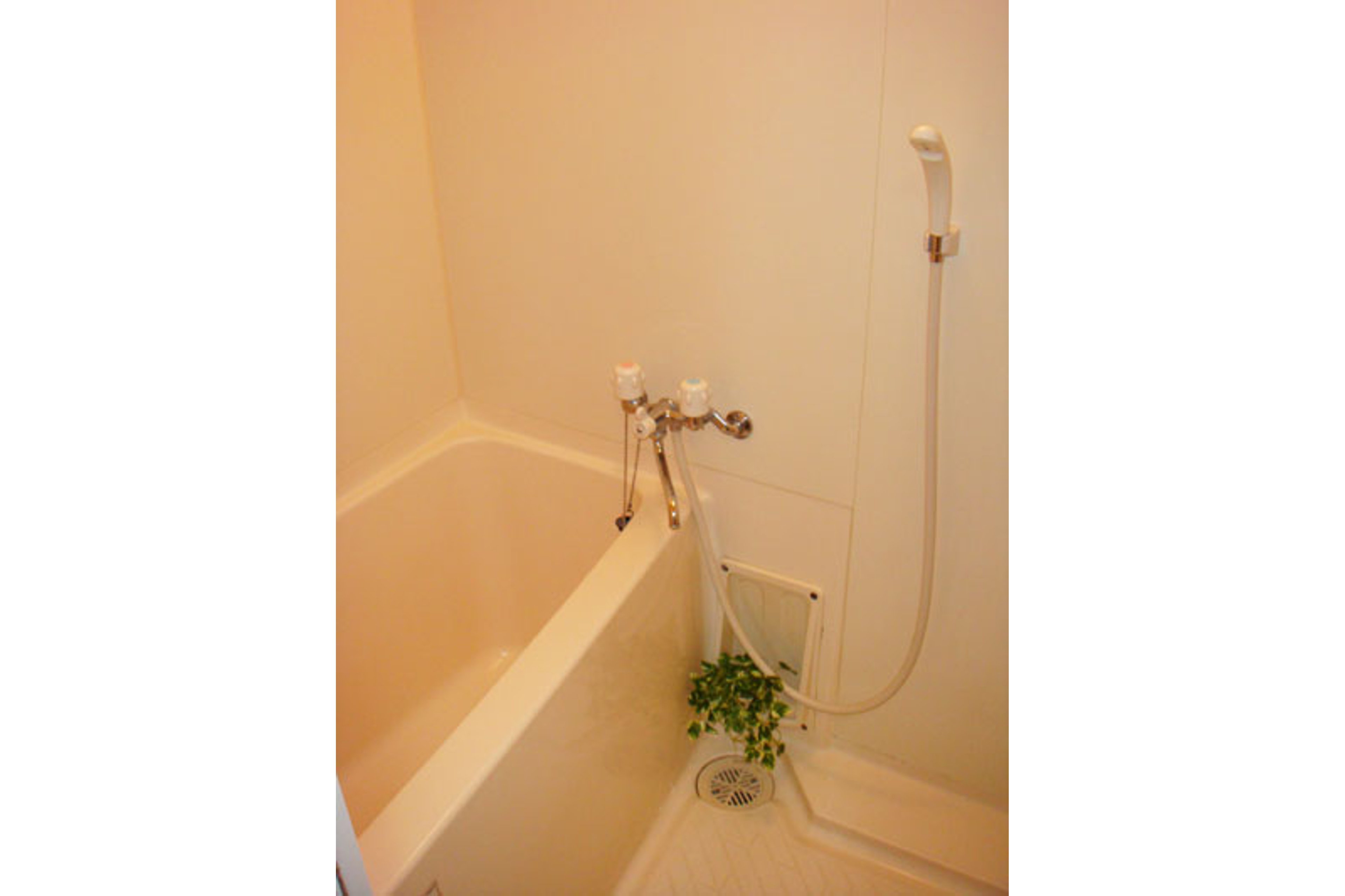 バリュータイプのイメージ