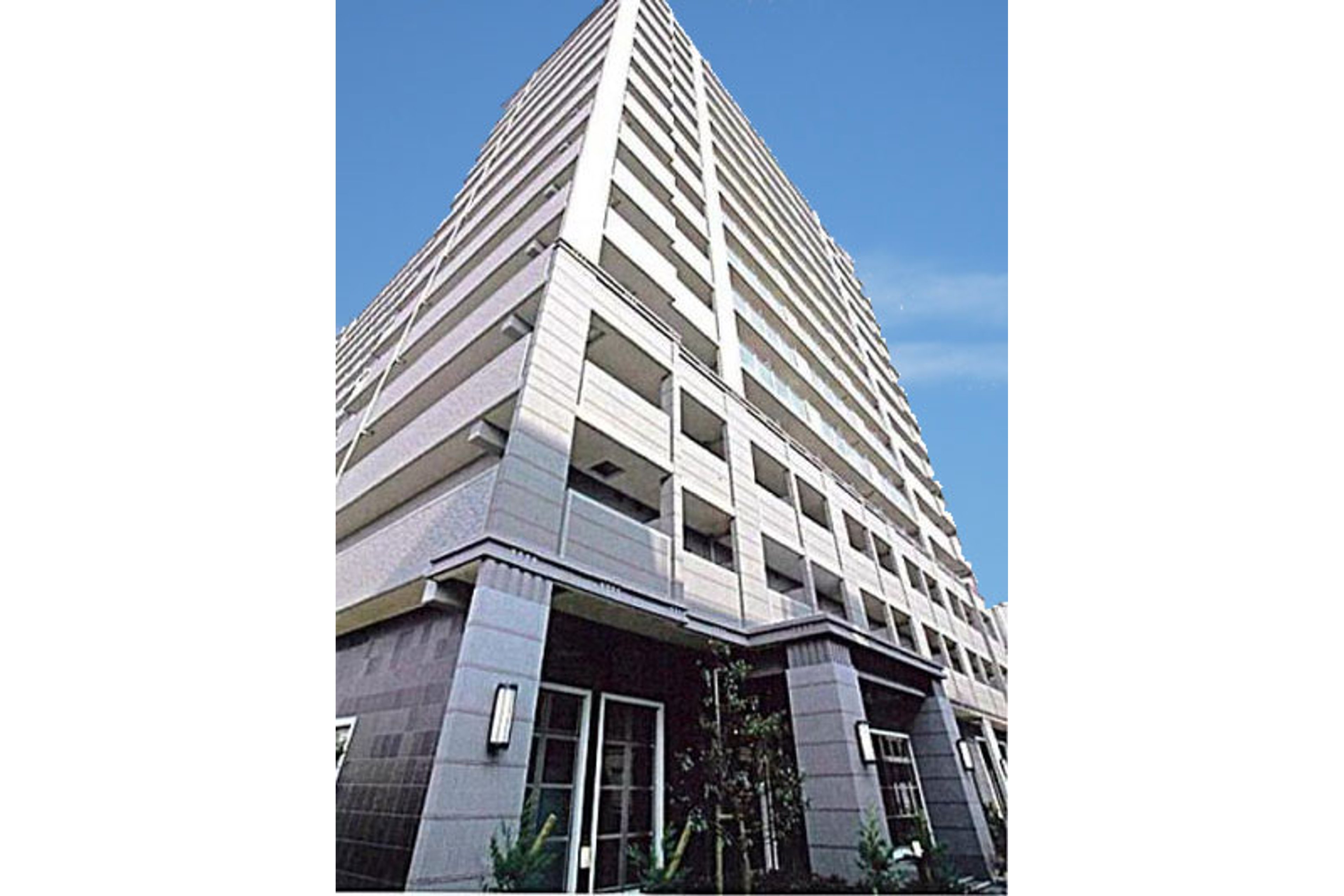 プラチナタイプのイメージ