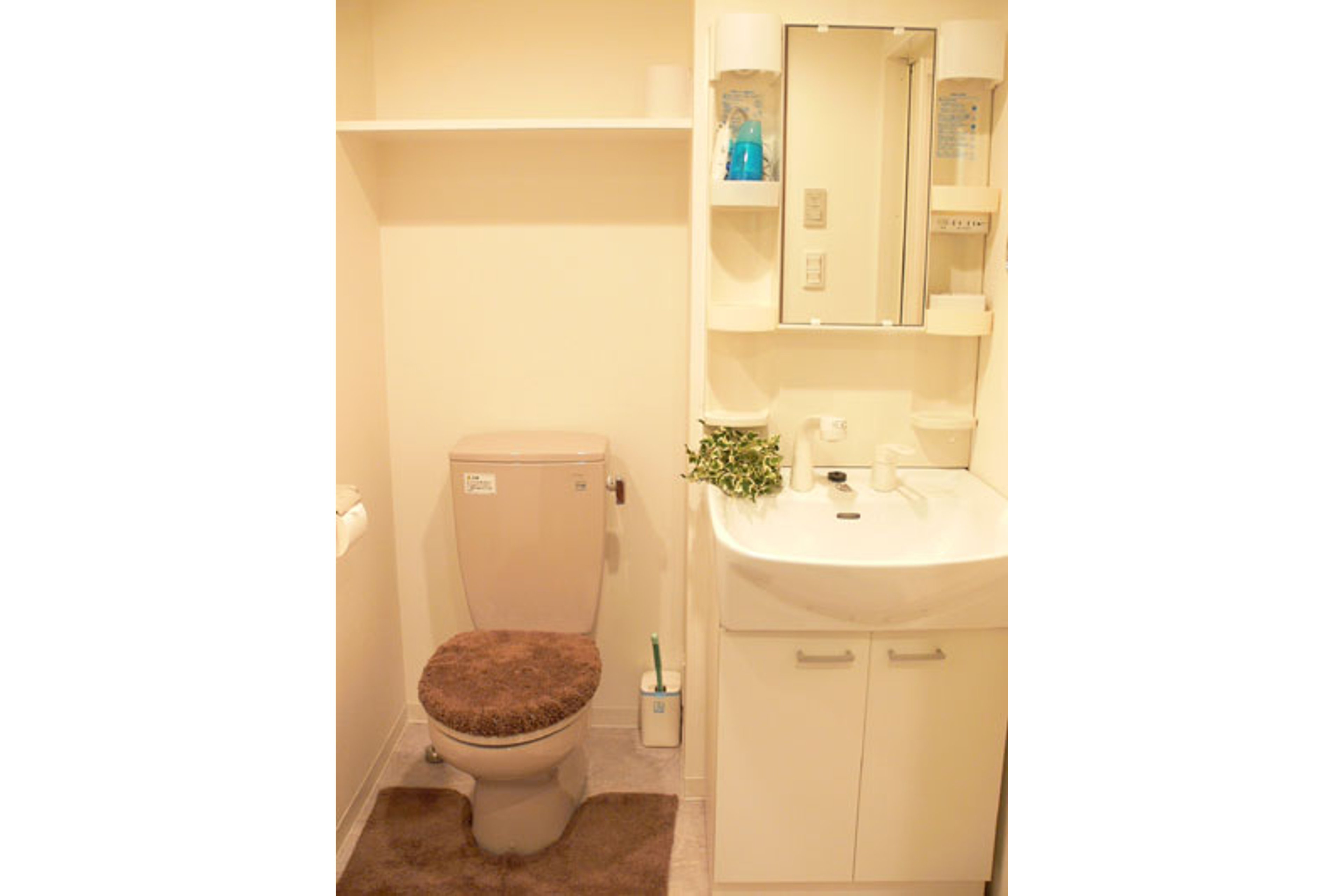 プラチナタイプのイメージ