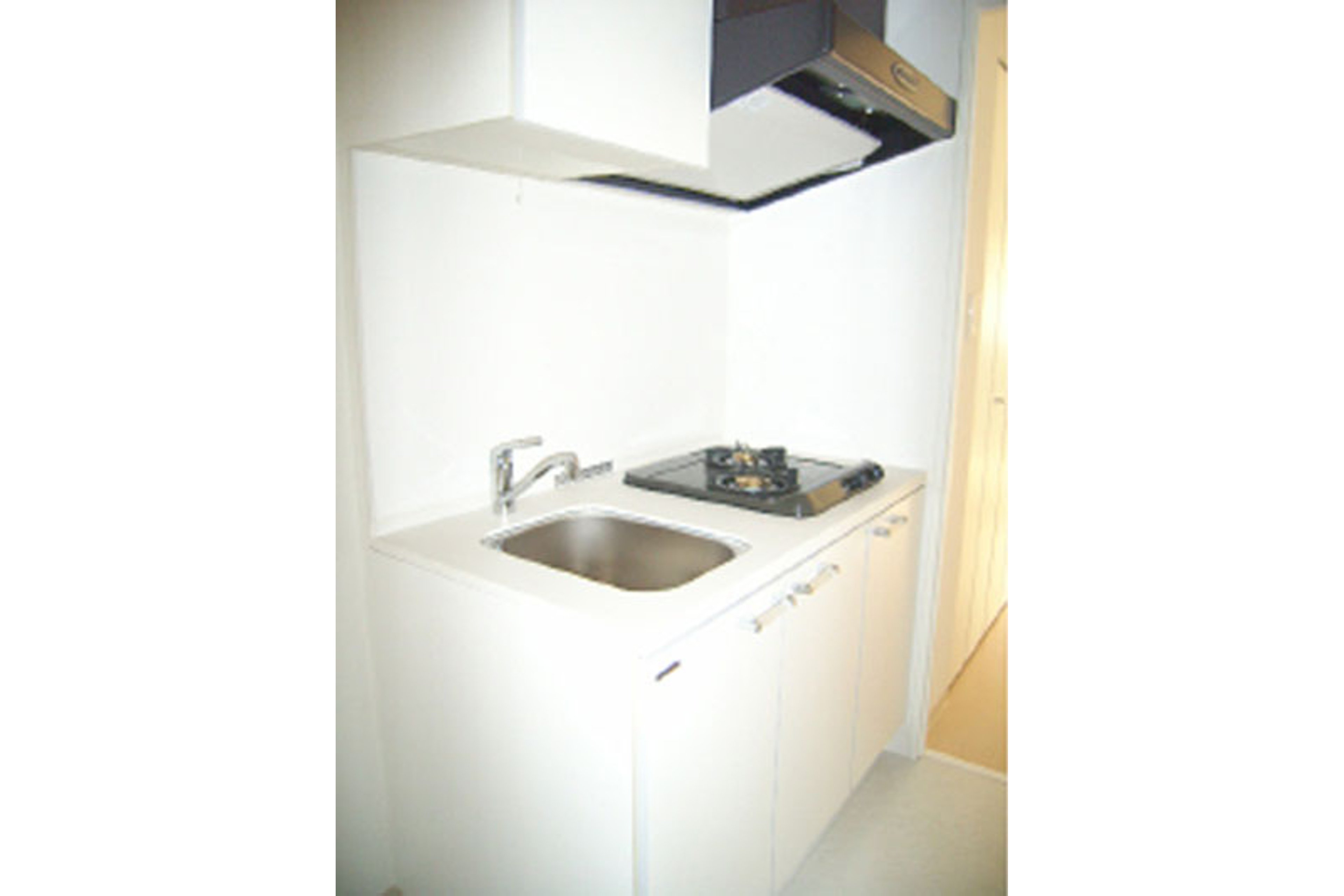 プラチナタイプのイメージ