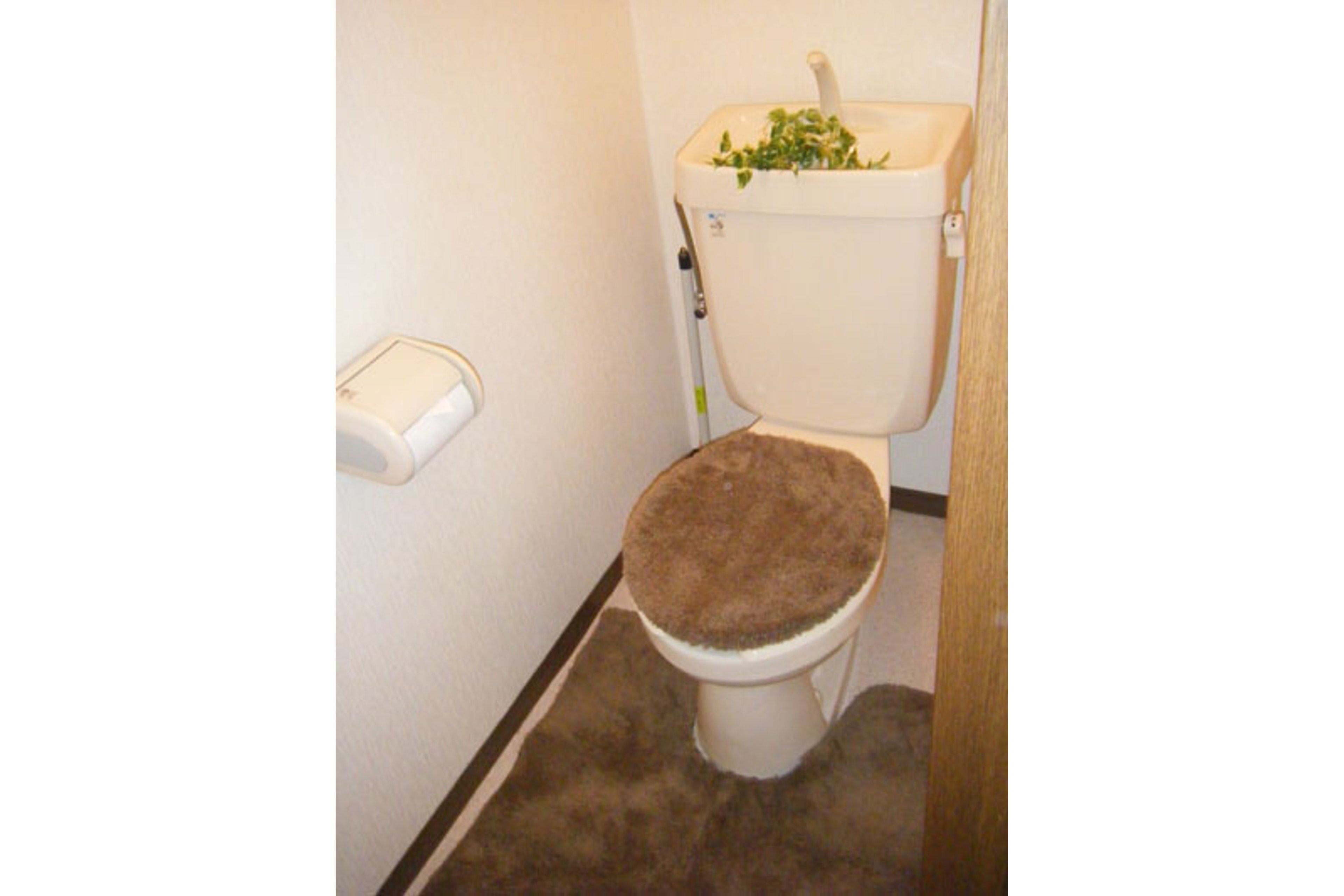 バリュータイプのイメージ