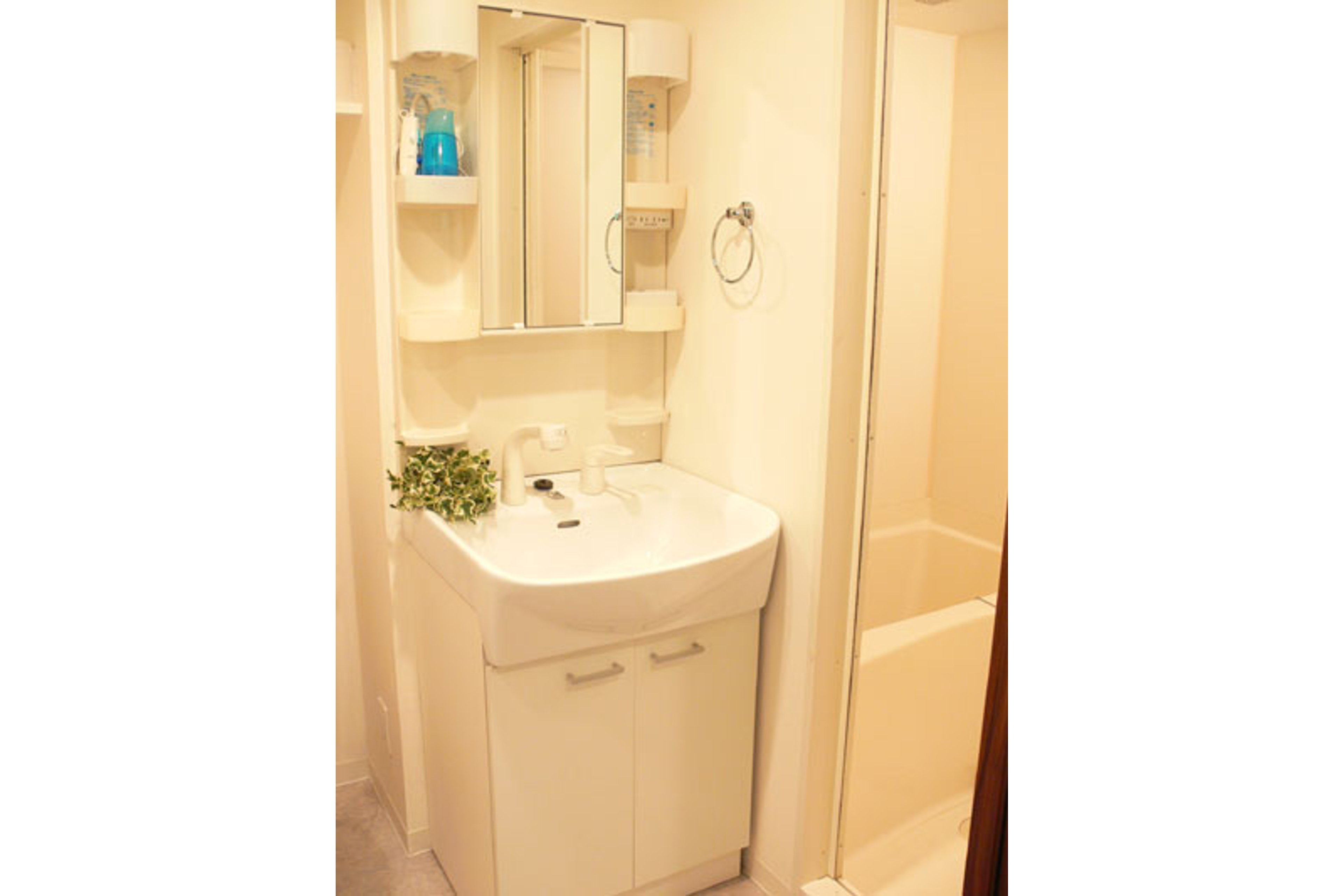 スタンダードタイプのイメージ