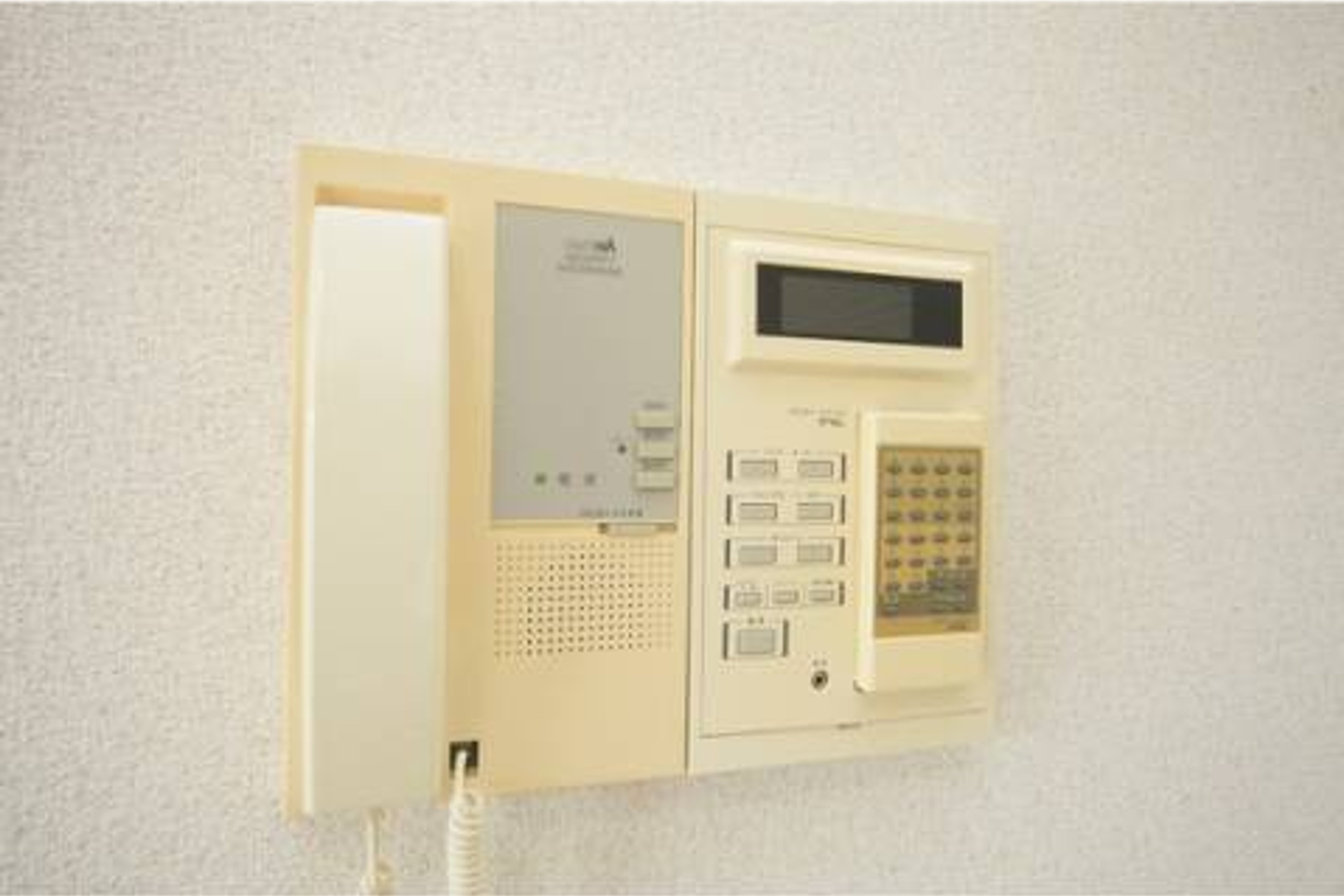 バリュータイプのイメージ