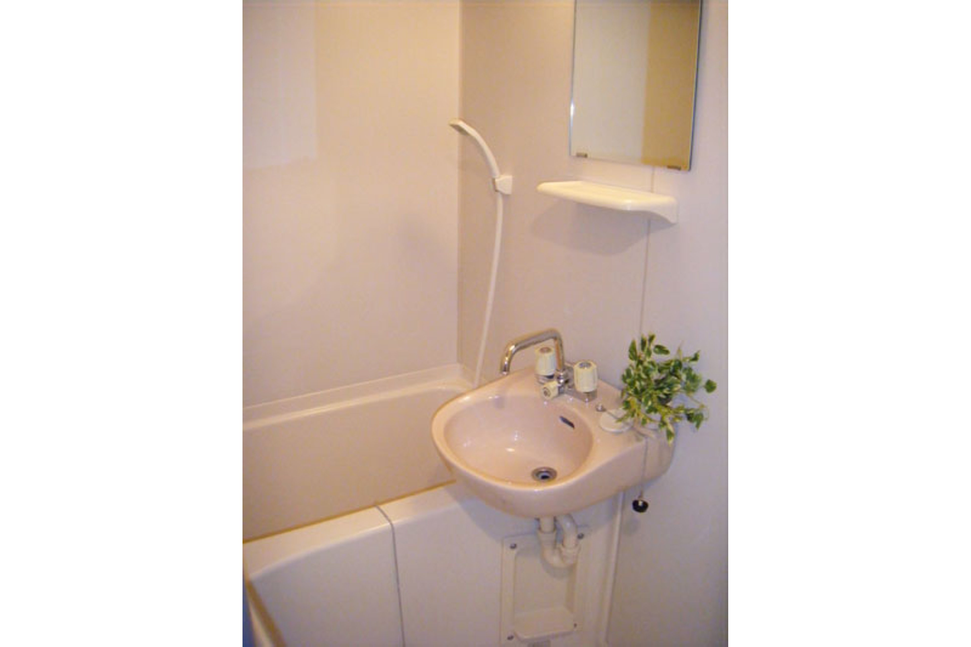 バリュータイプのイメージ