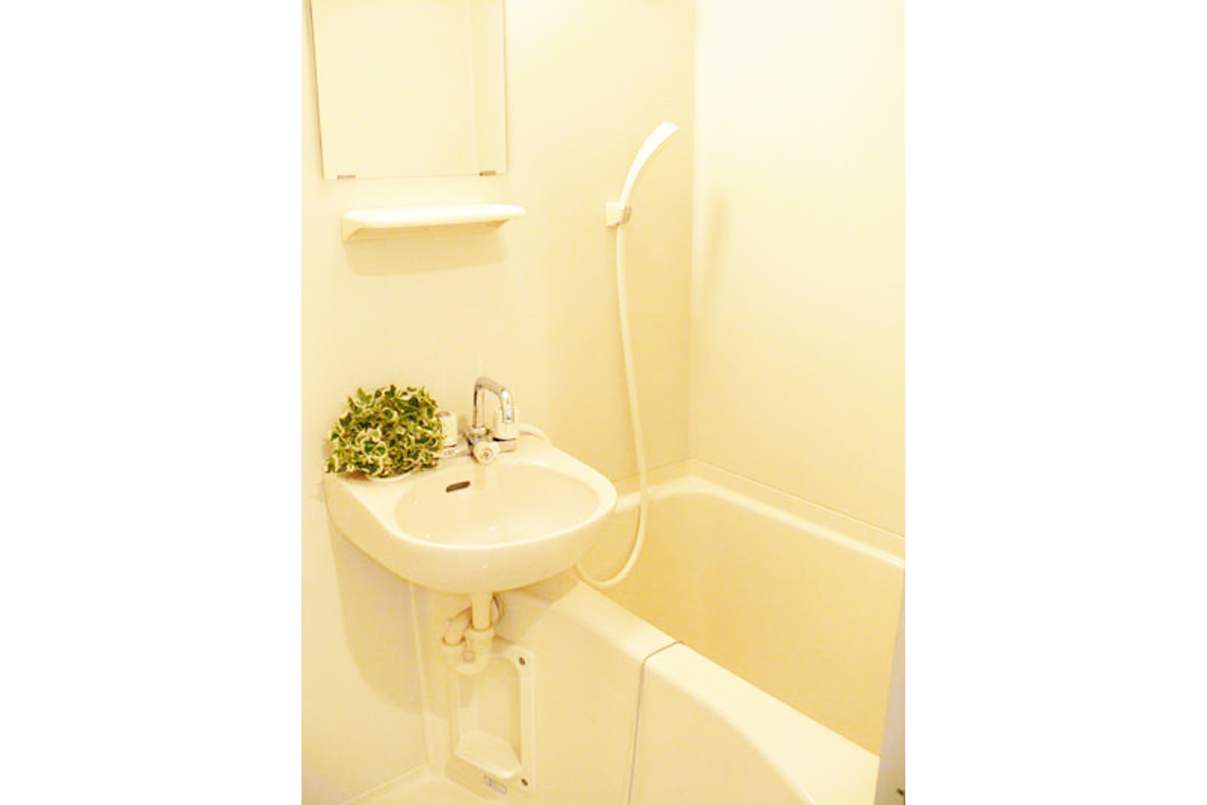 スタンダードタイプのイメージ