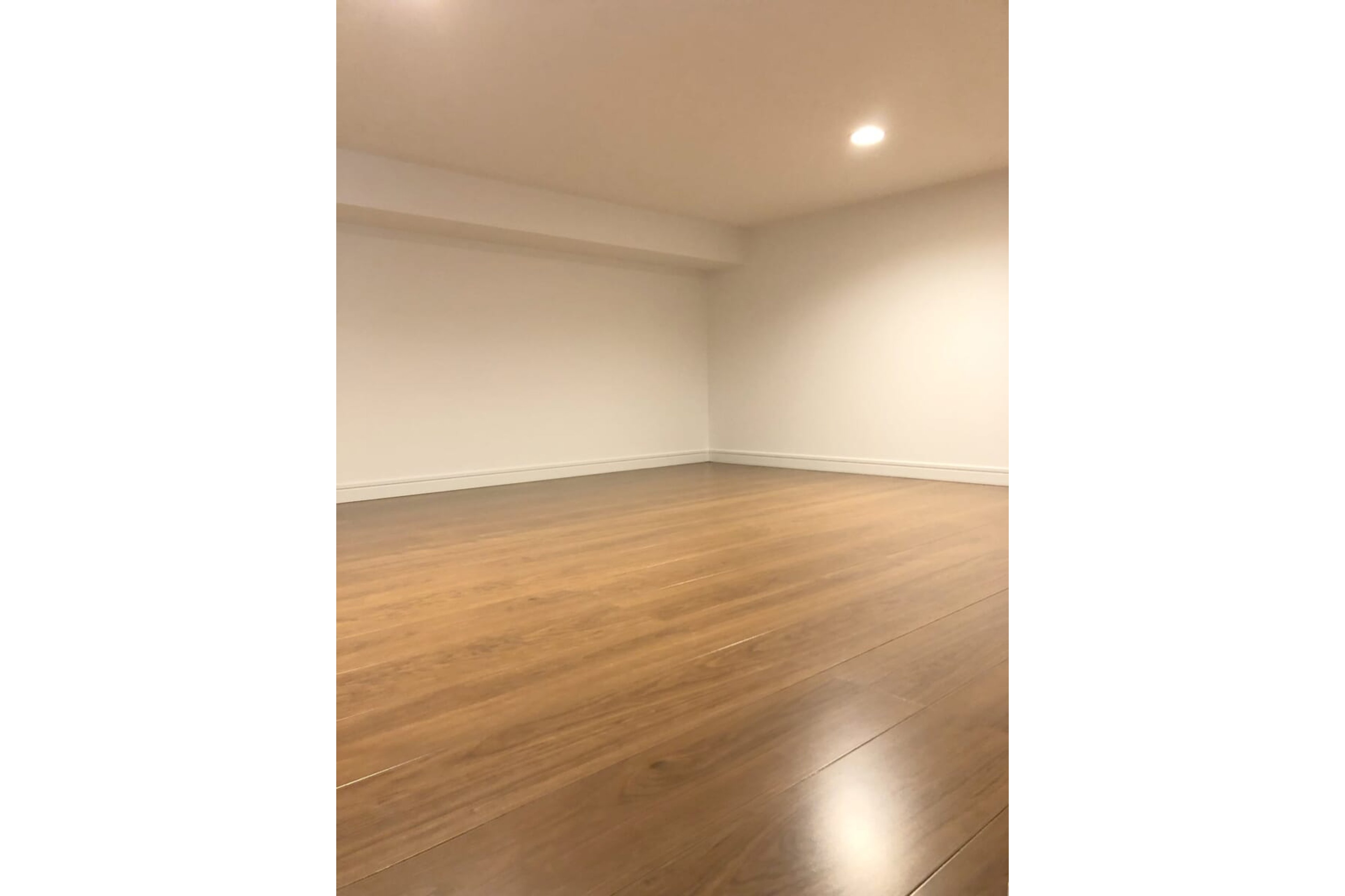 プラチナタイプのイメージ