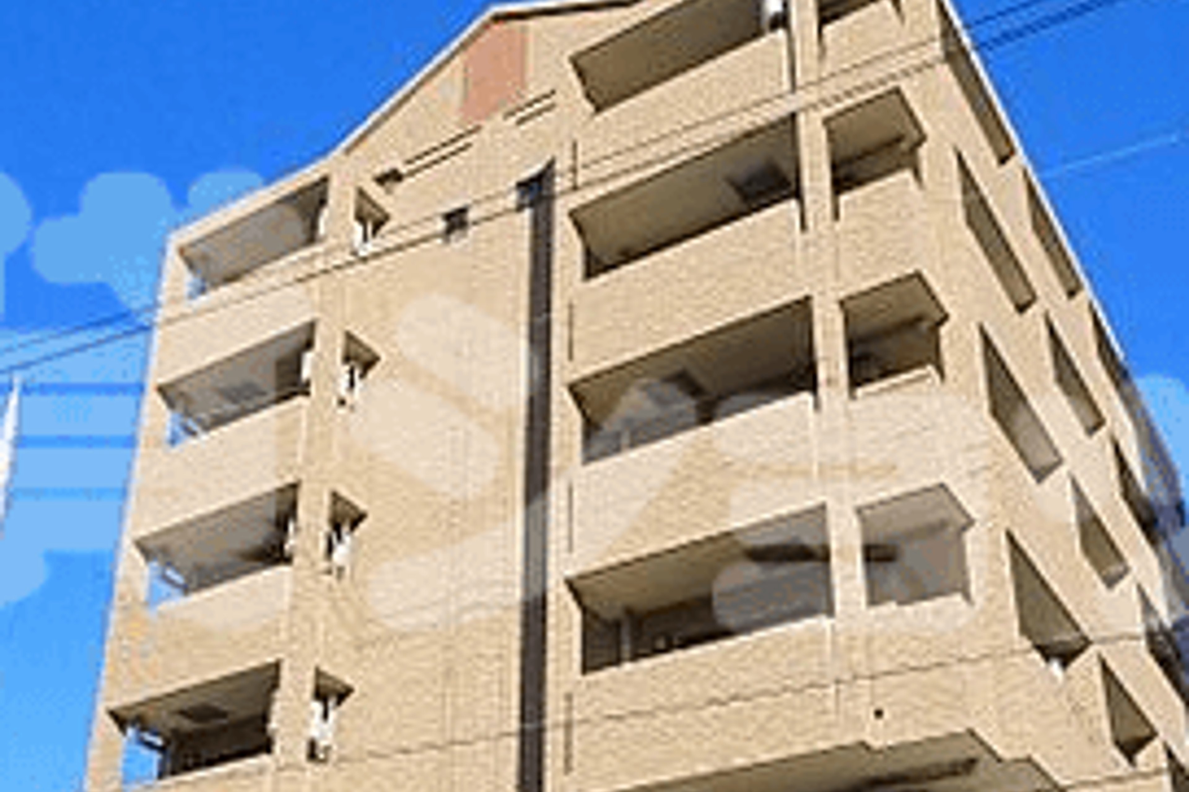 スタンダードタイプのイメージ