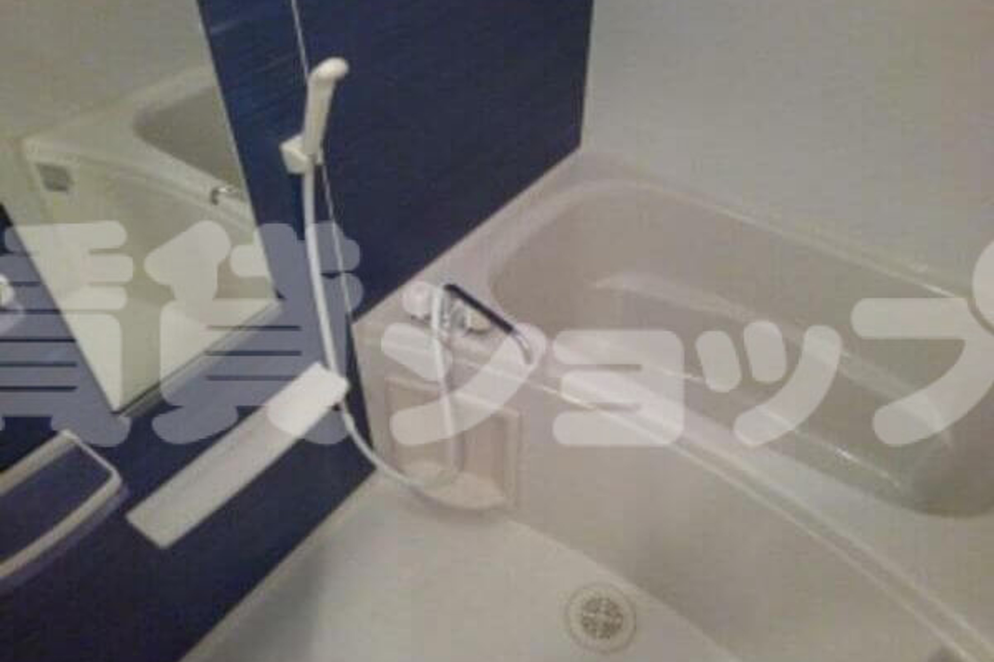 スタンダードタイプのイメージ