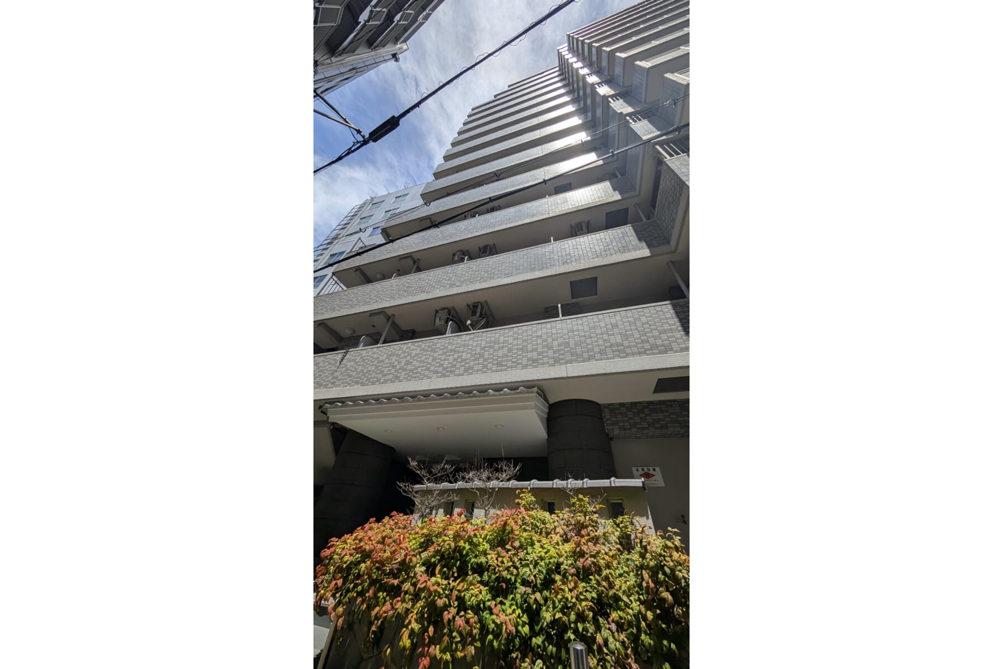 バリュータイプのイメージ