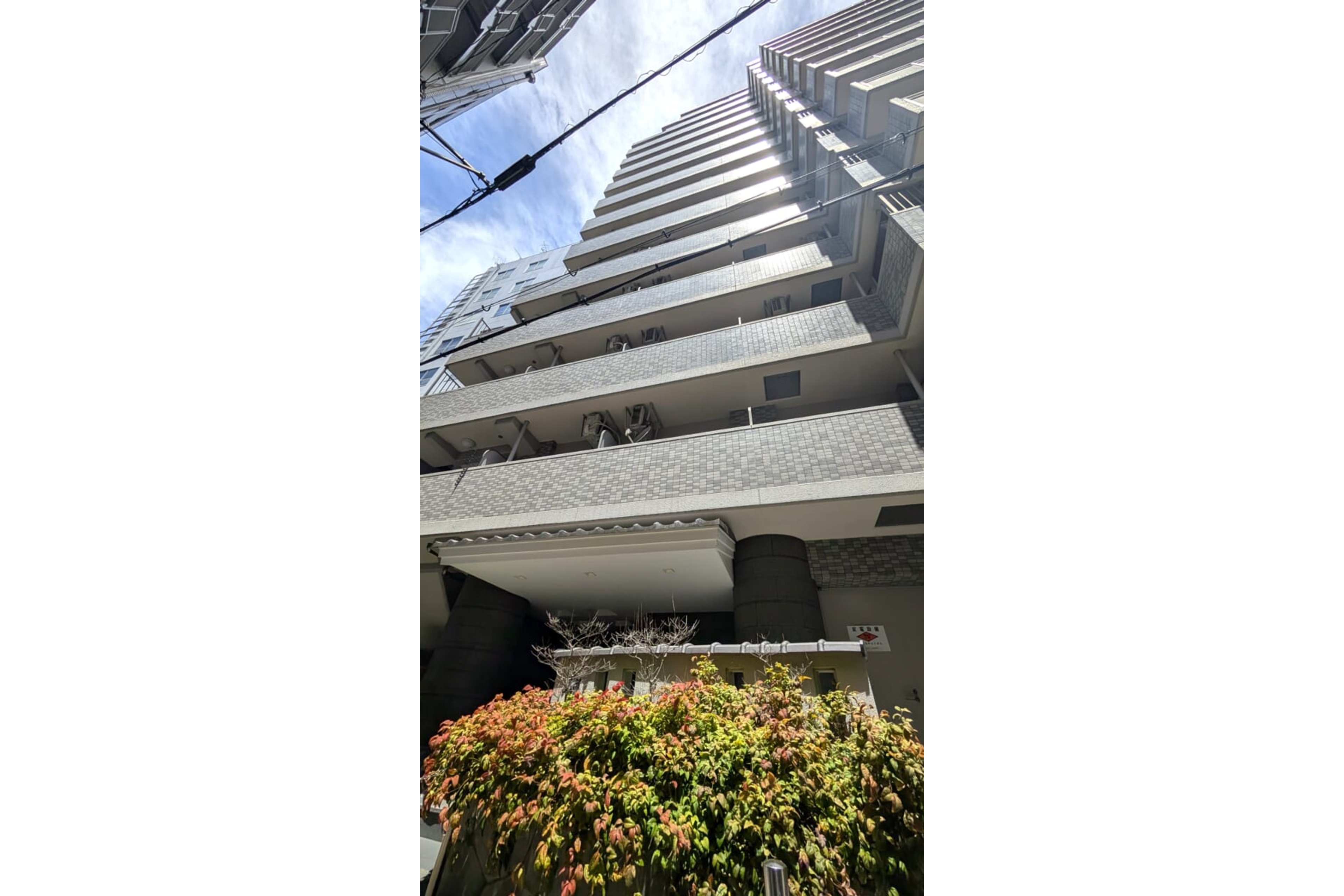 バリュータイプのイメージ