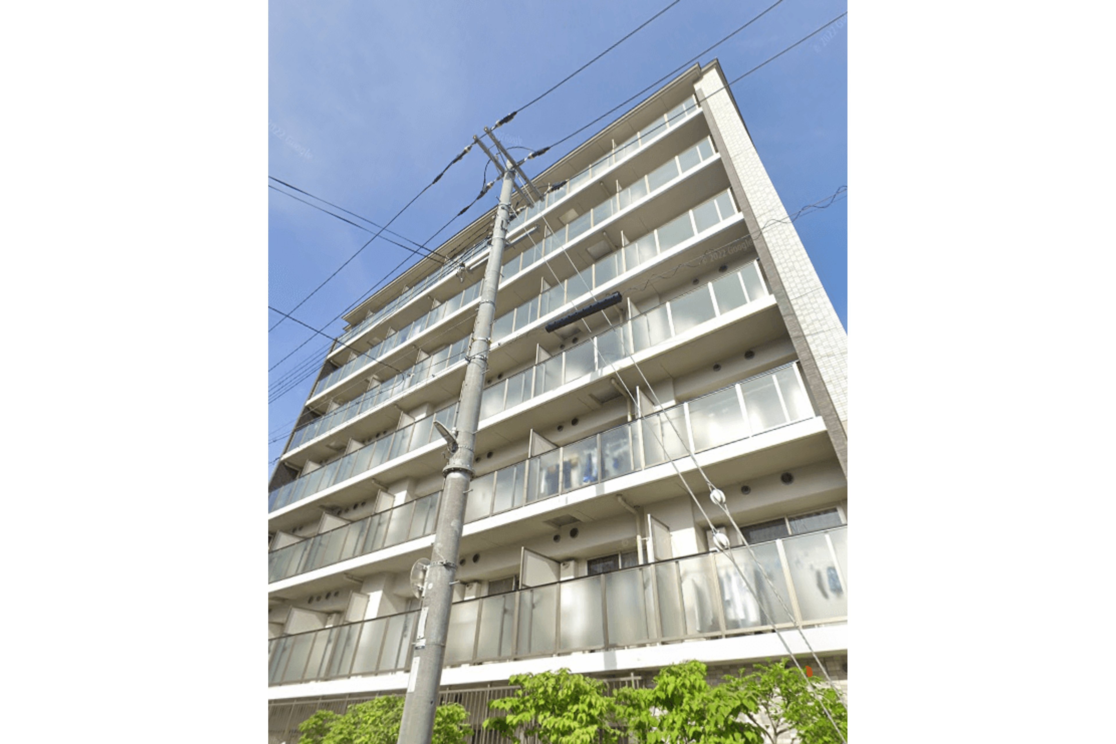 プラチナタイプのイメージ