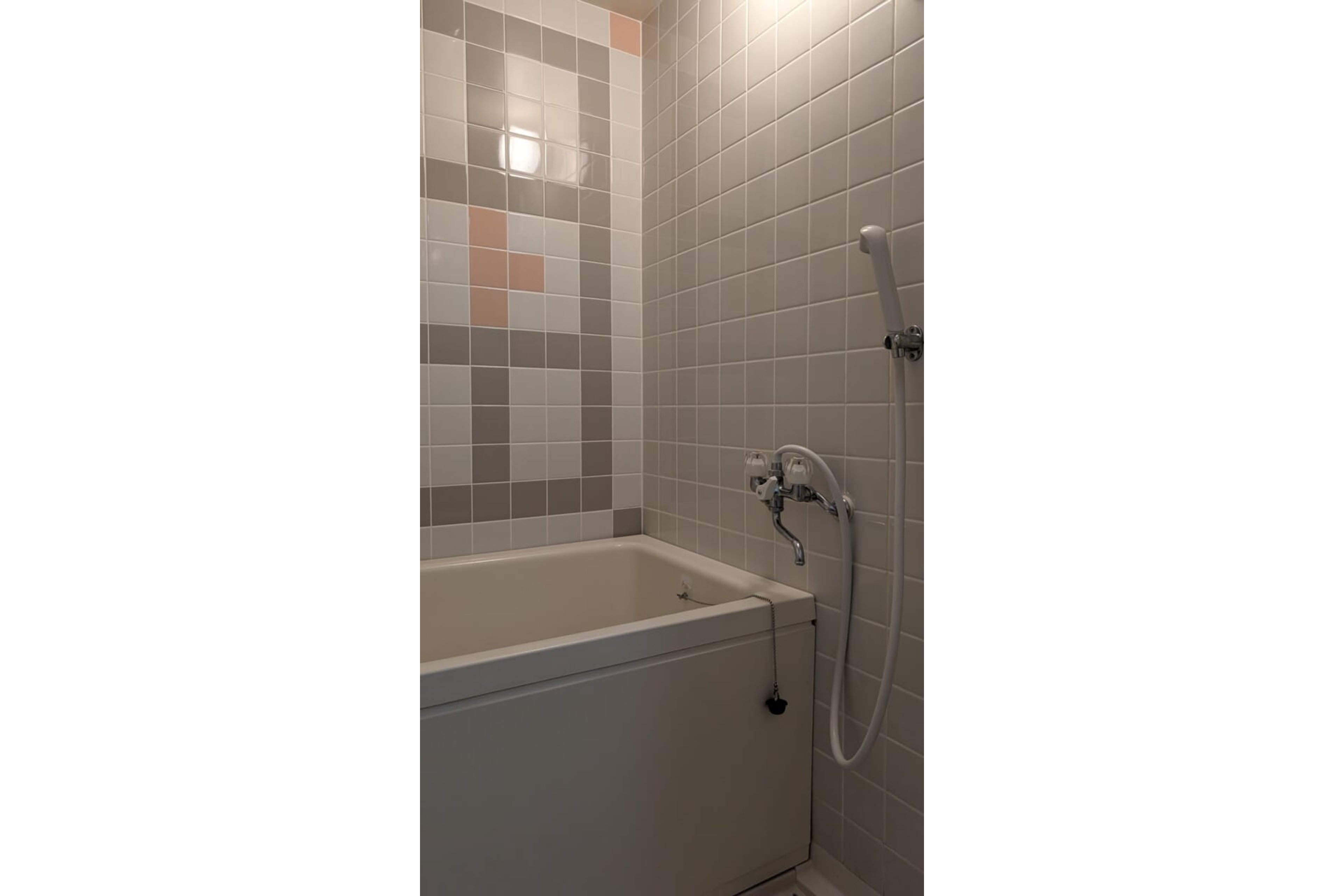 スタンダードタイプのイメージ