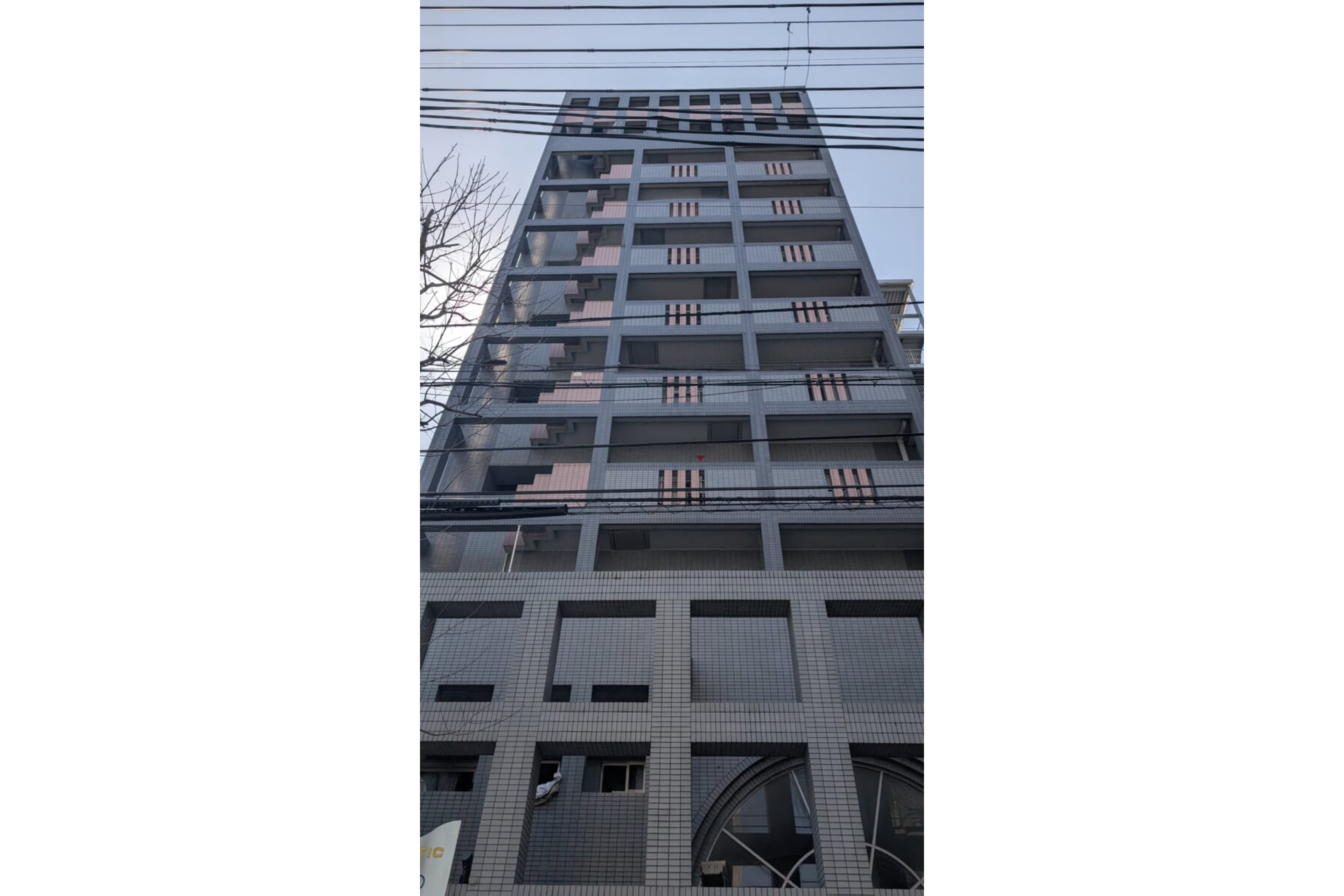 スタンダードタイプのイメージ