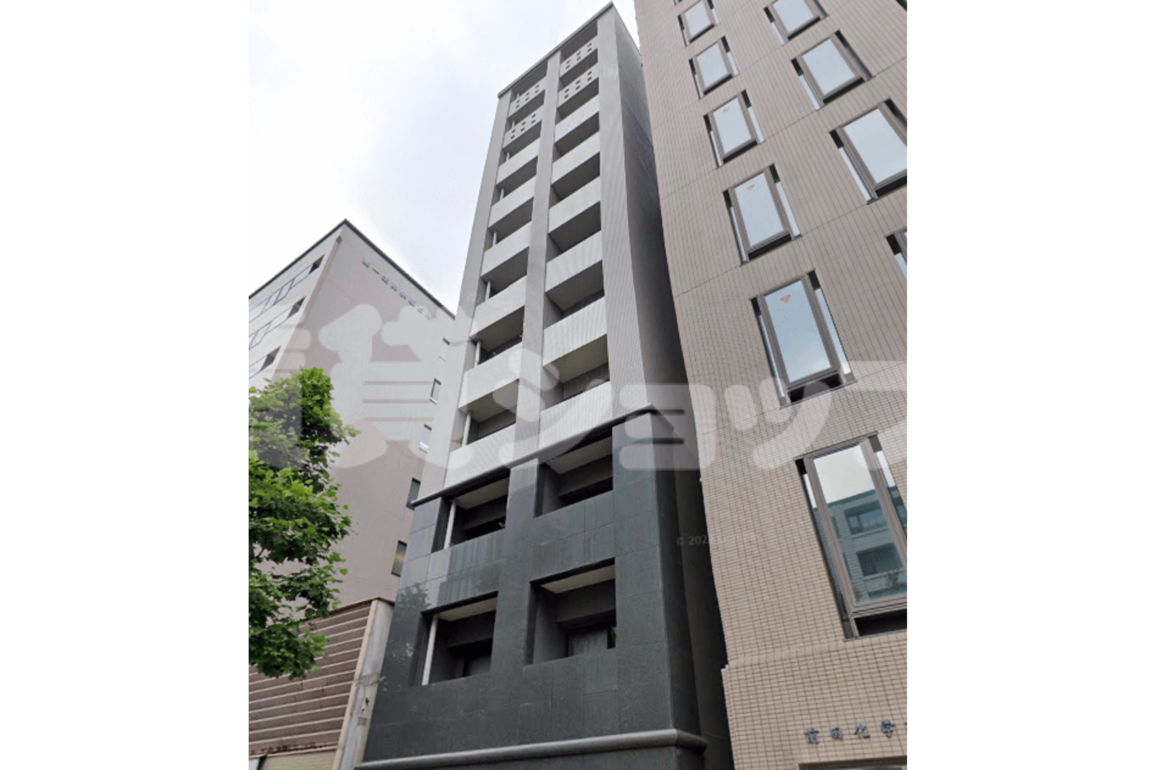 ハイグレードタイプのイメージ