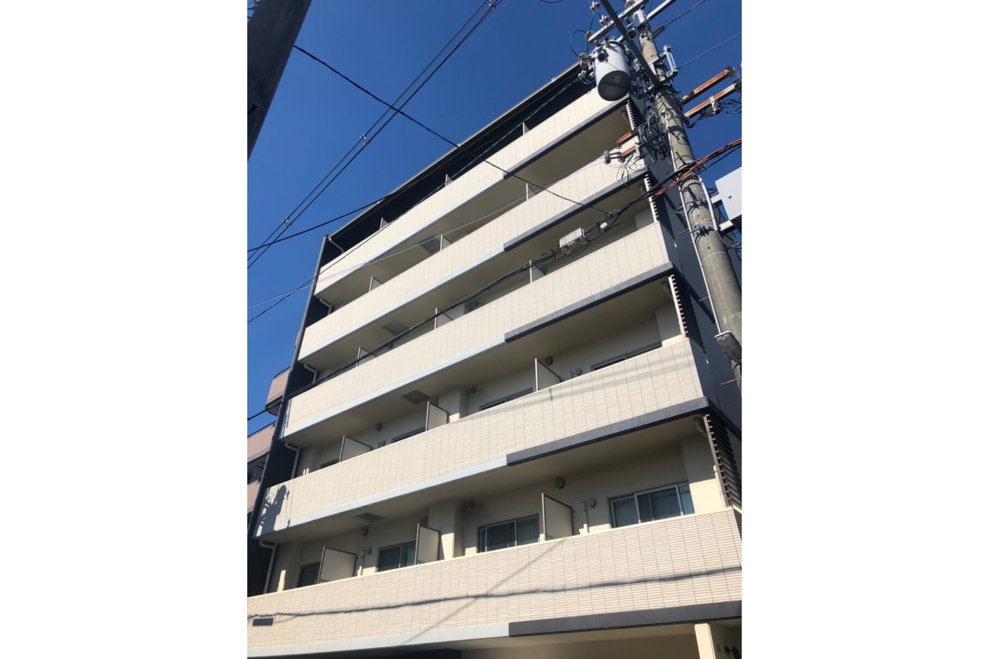 プラチナタイプのイメージ