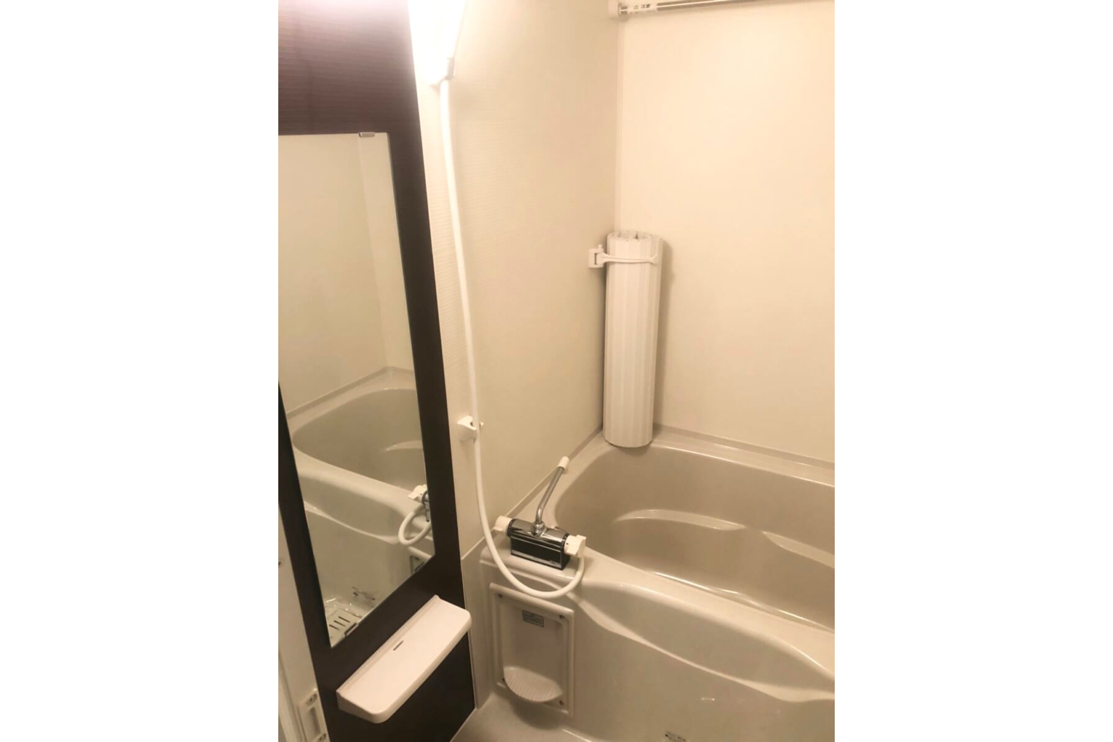 プラチナタイプのイメージ