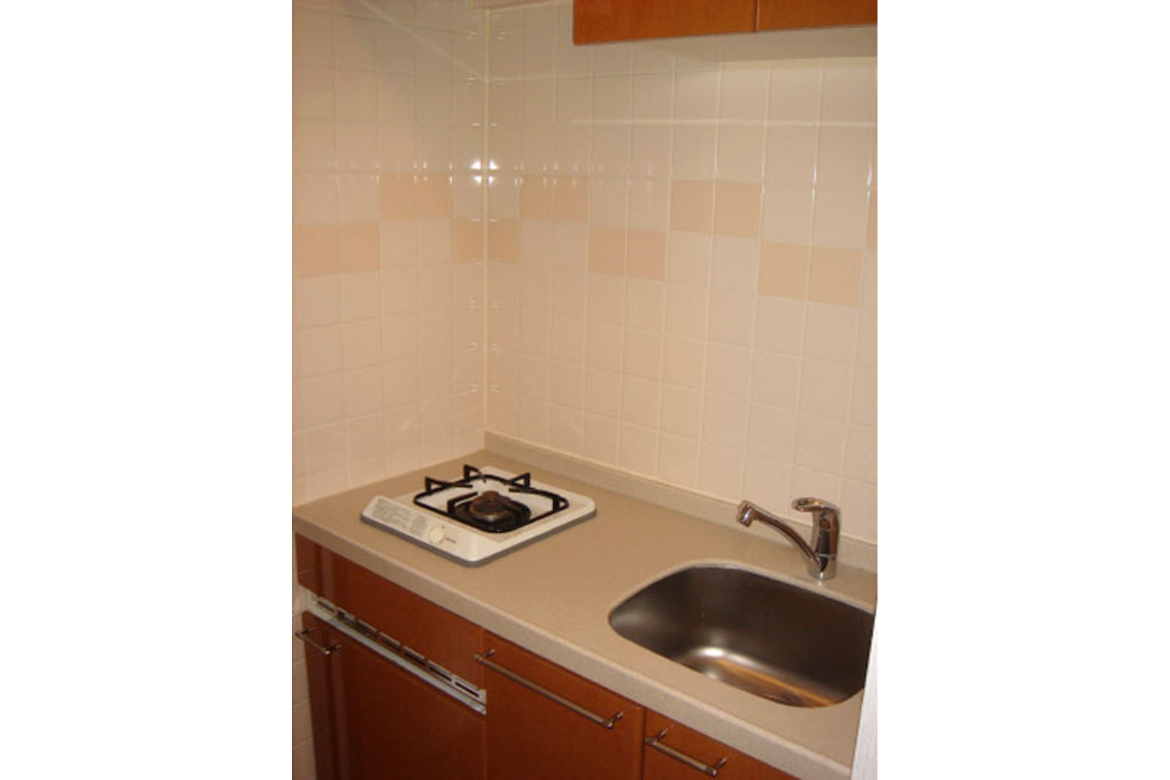 スタンダードタイプのイメージ