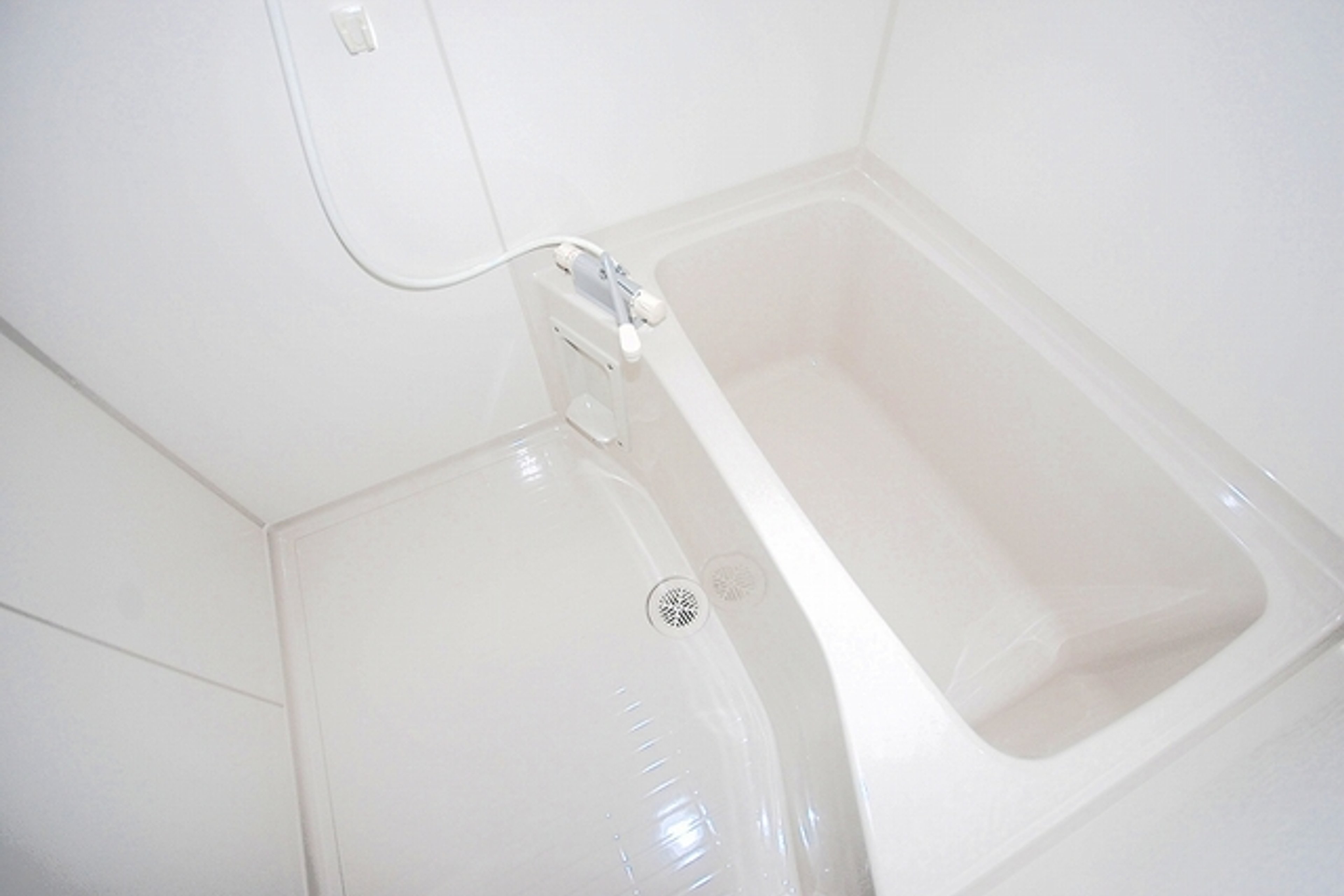 プラチナタイプのイメージ