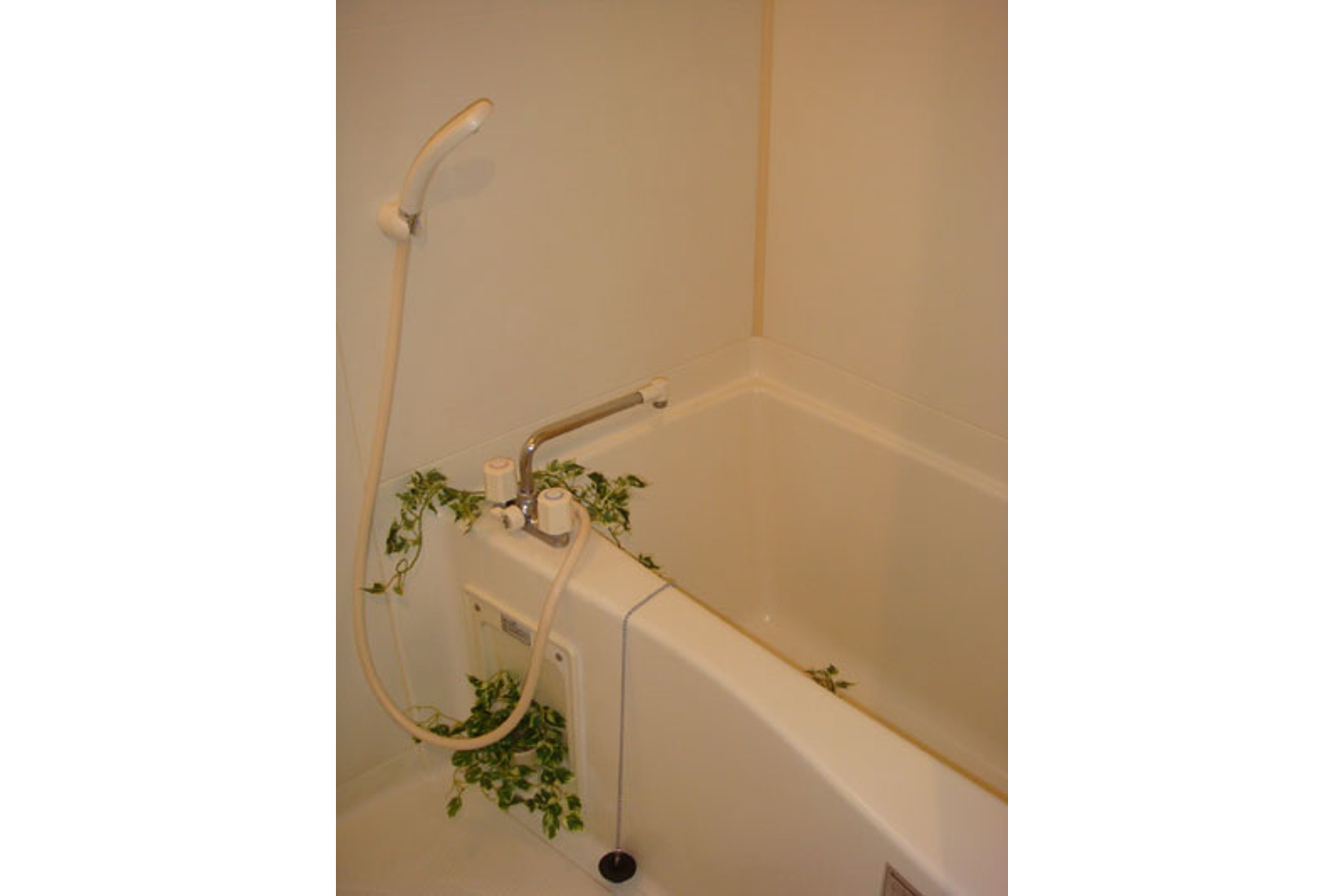 スタンダードタイプのイメージ