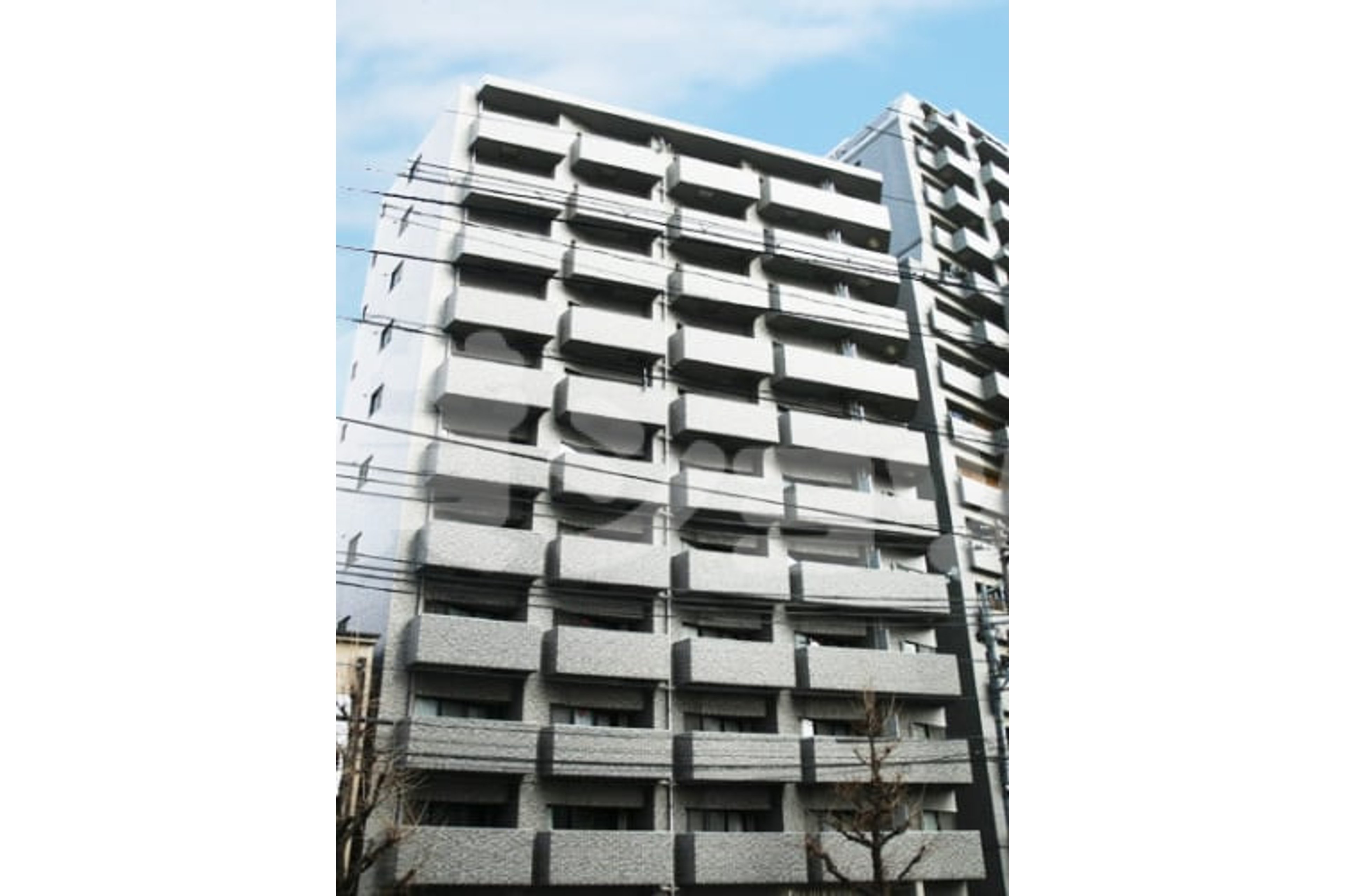 プラチナタイプのイメージ