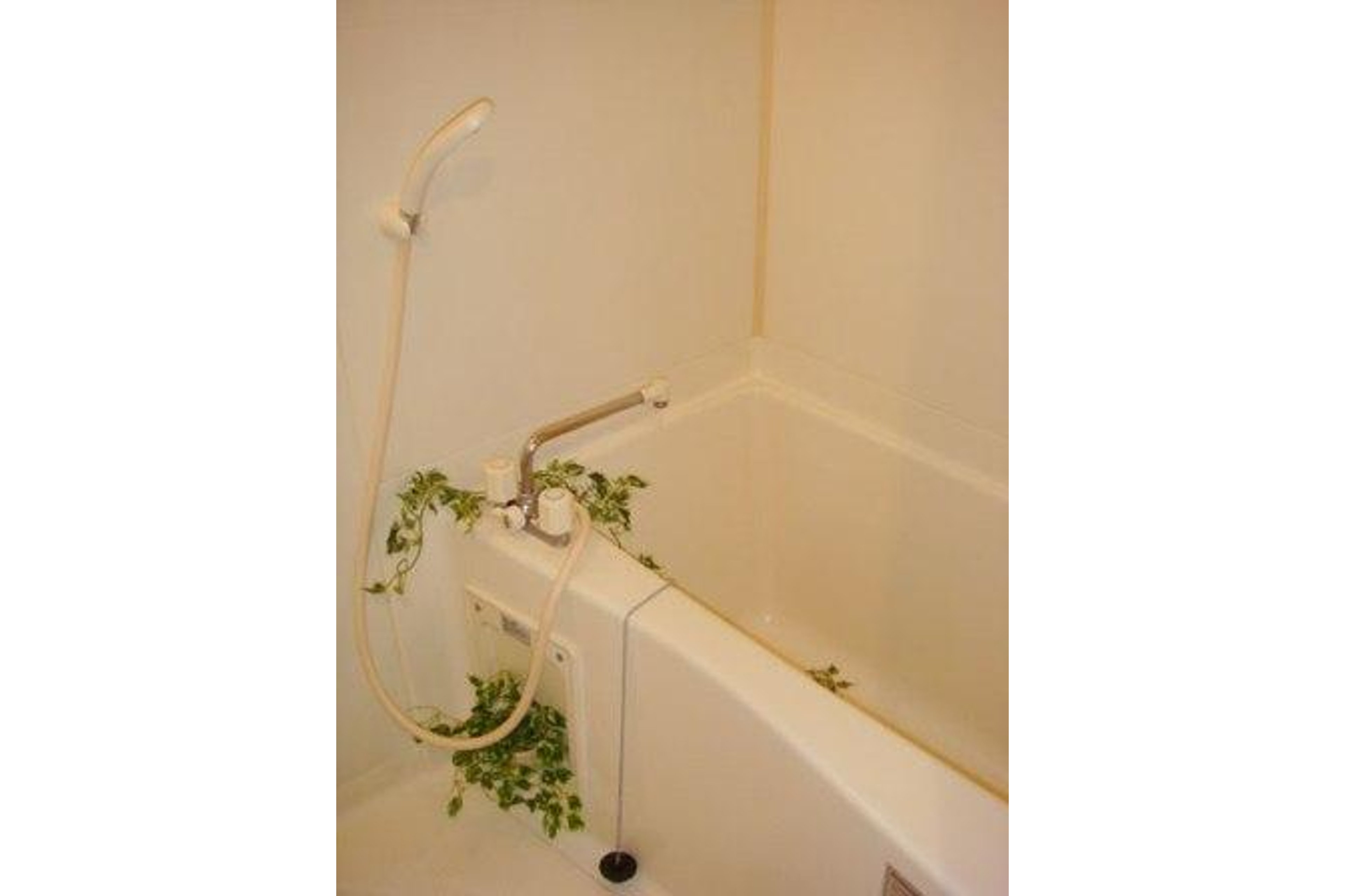 バリュータイプのイメージ