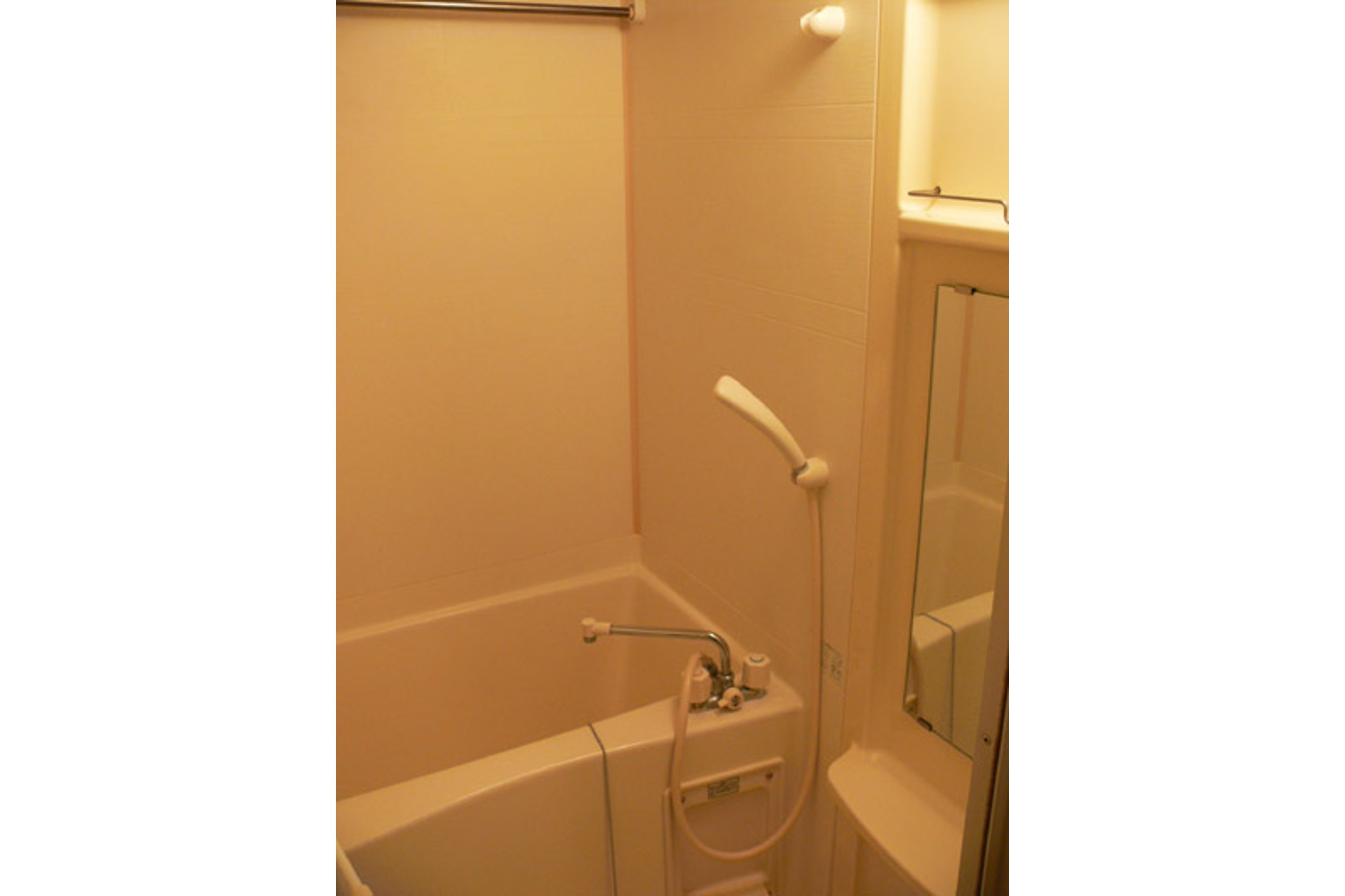 バリュータイプのイメージ