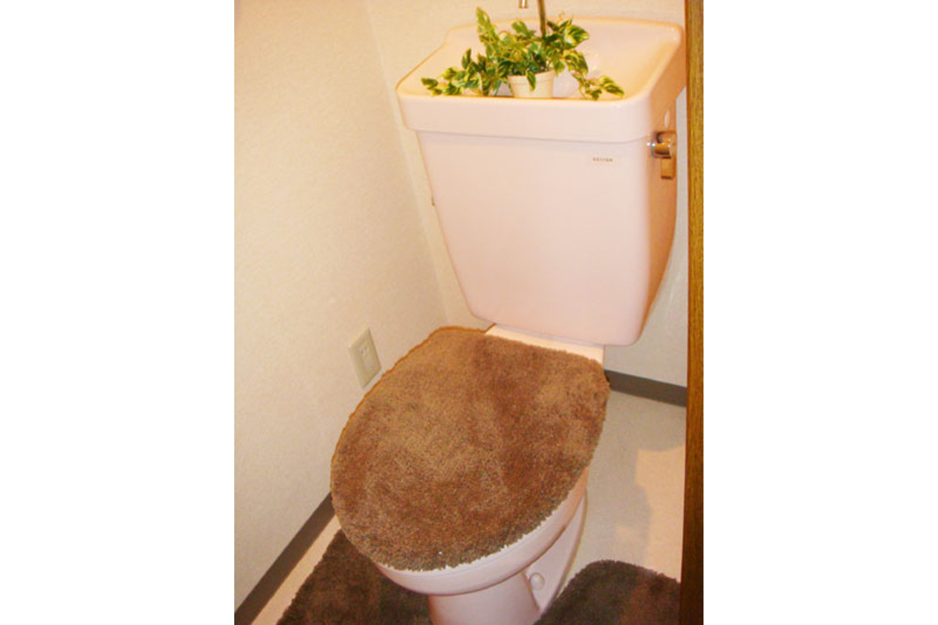 スタンダードタイプのイメージ