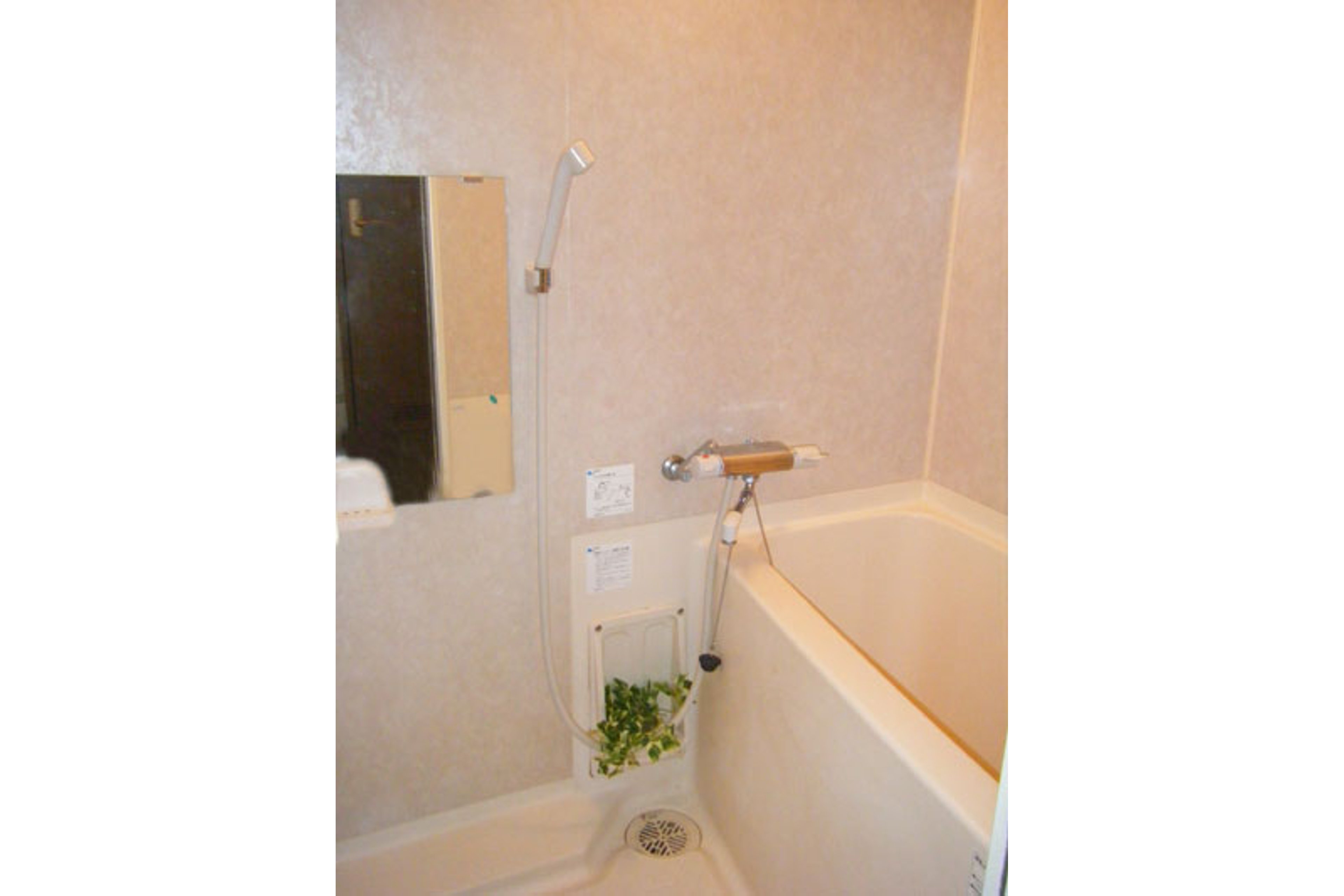 スタンダードタイプのイメージ