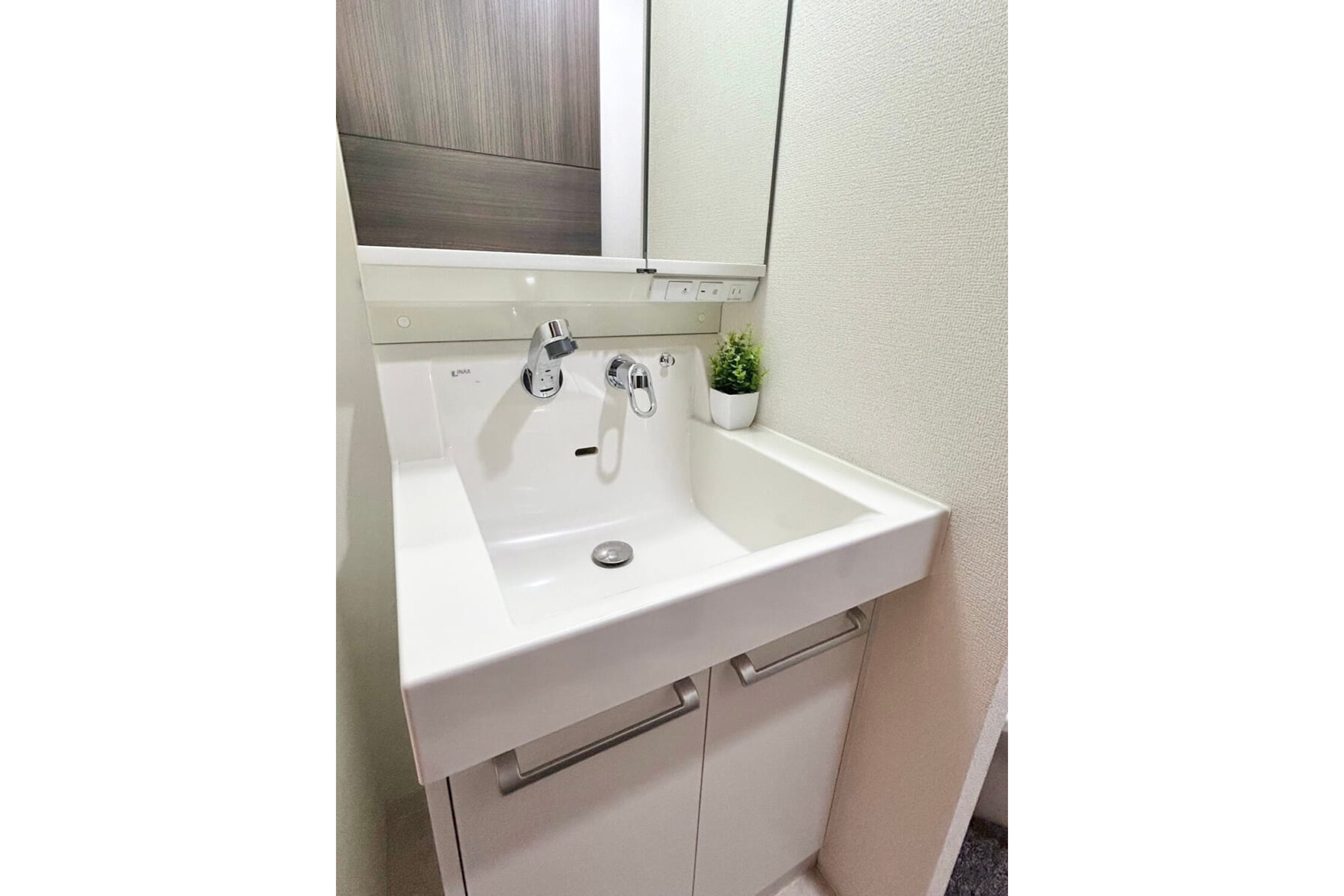 プラチナタイプのイメージ