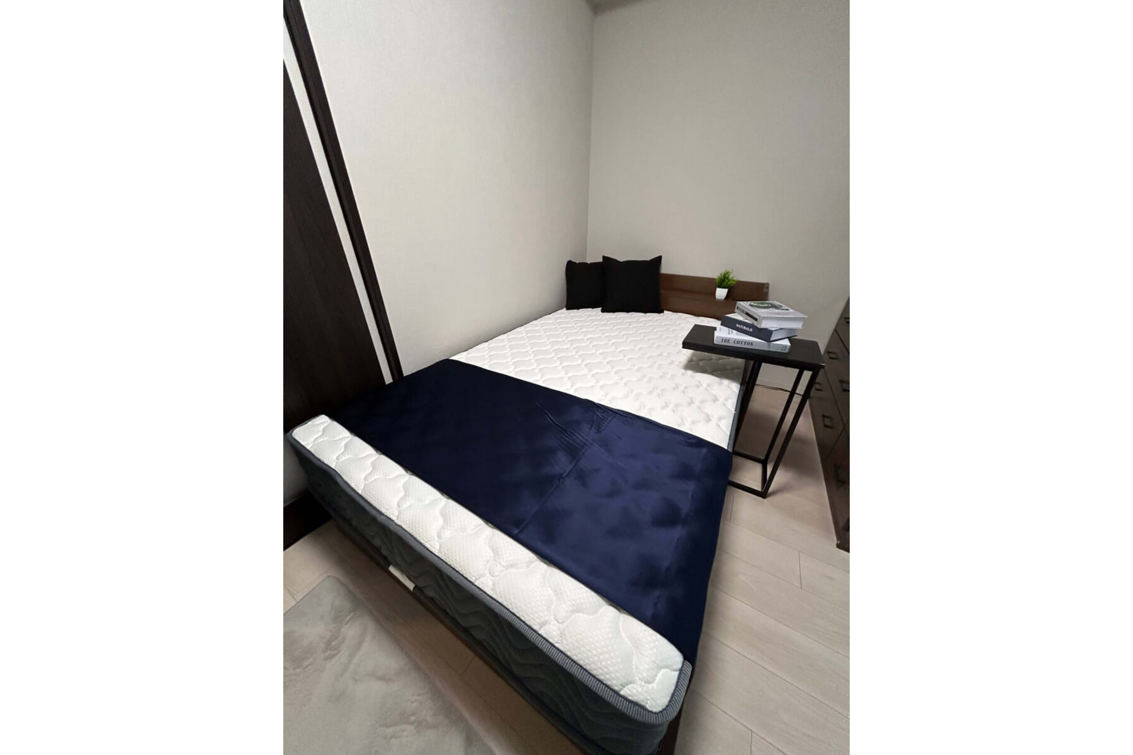 プラチナタイプのイメージ