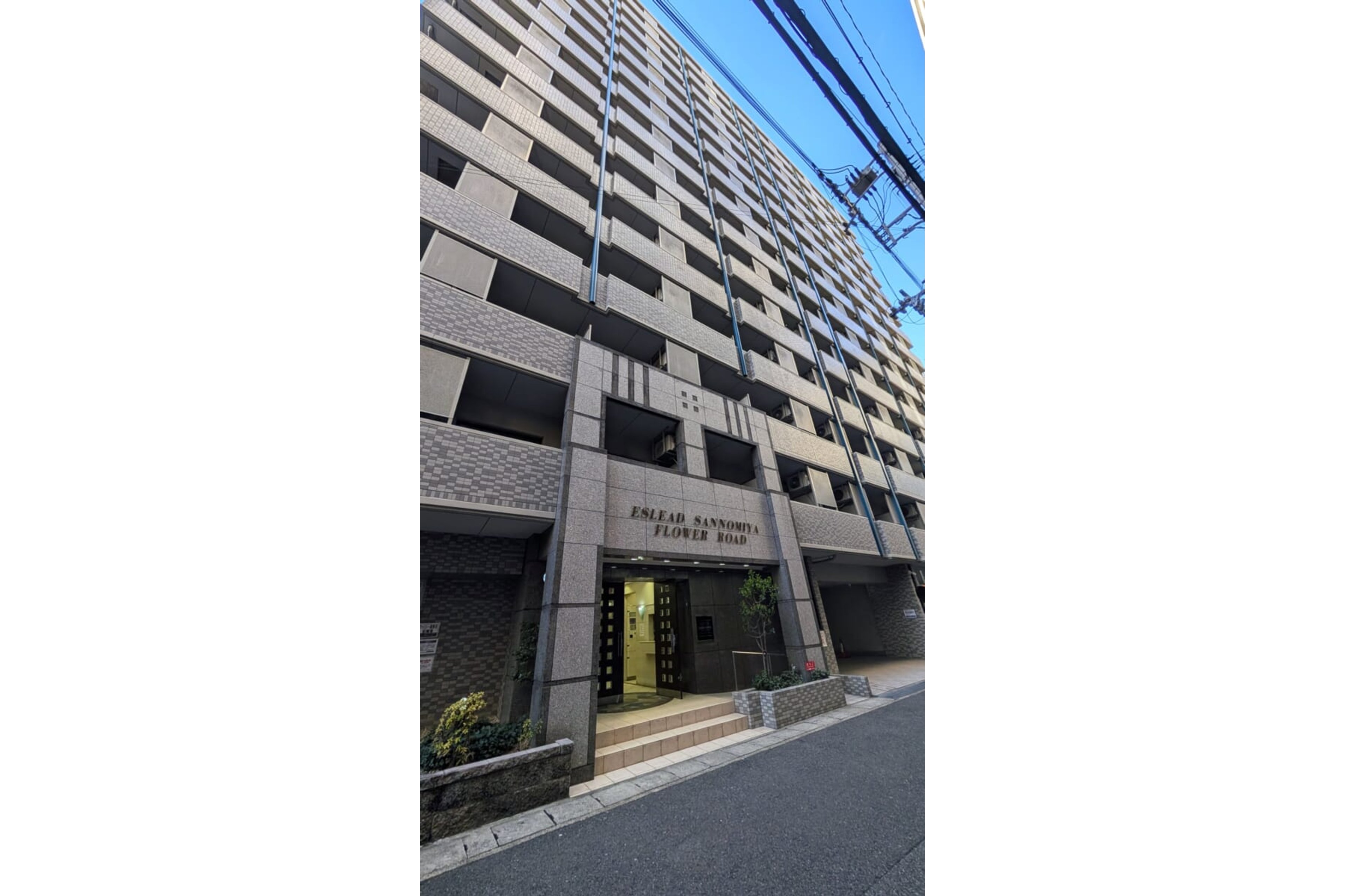 スタンダードタイプのイメージ