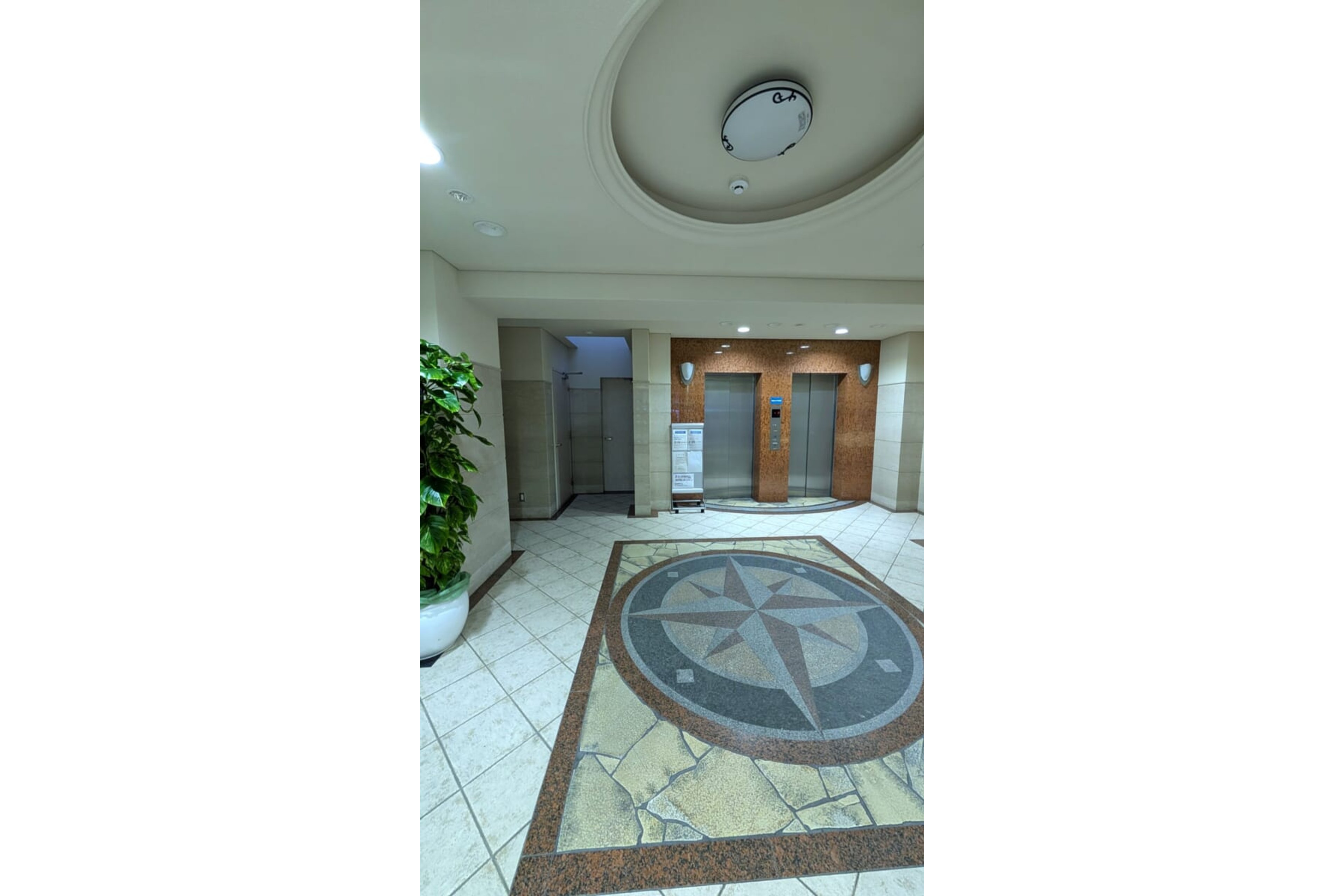 スタンダードタイプのイメージ