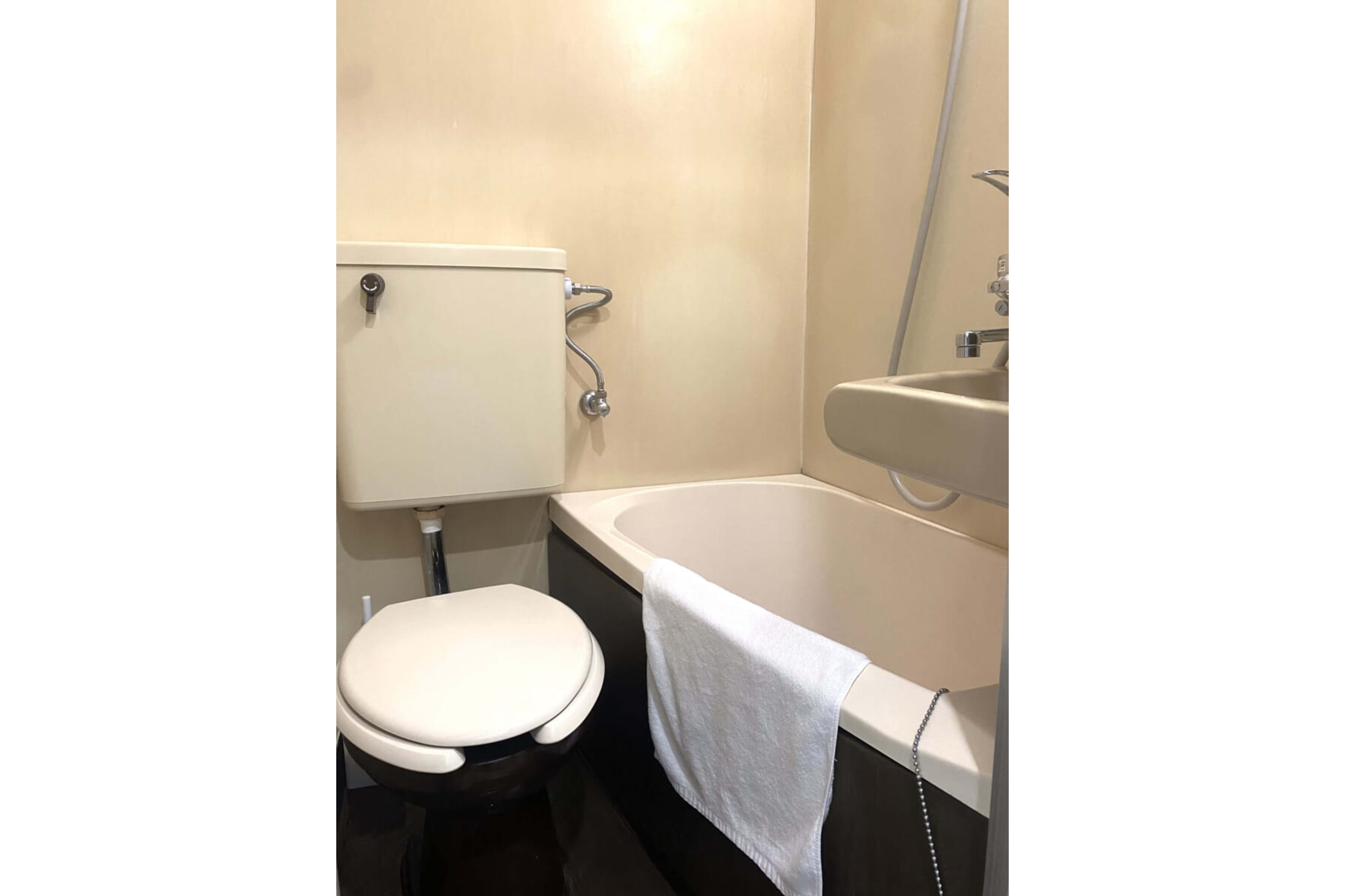 バリュータイプのイメージ