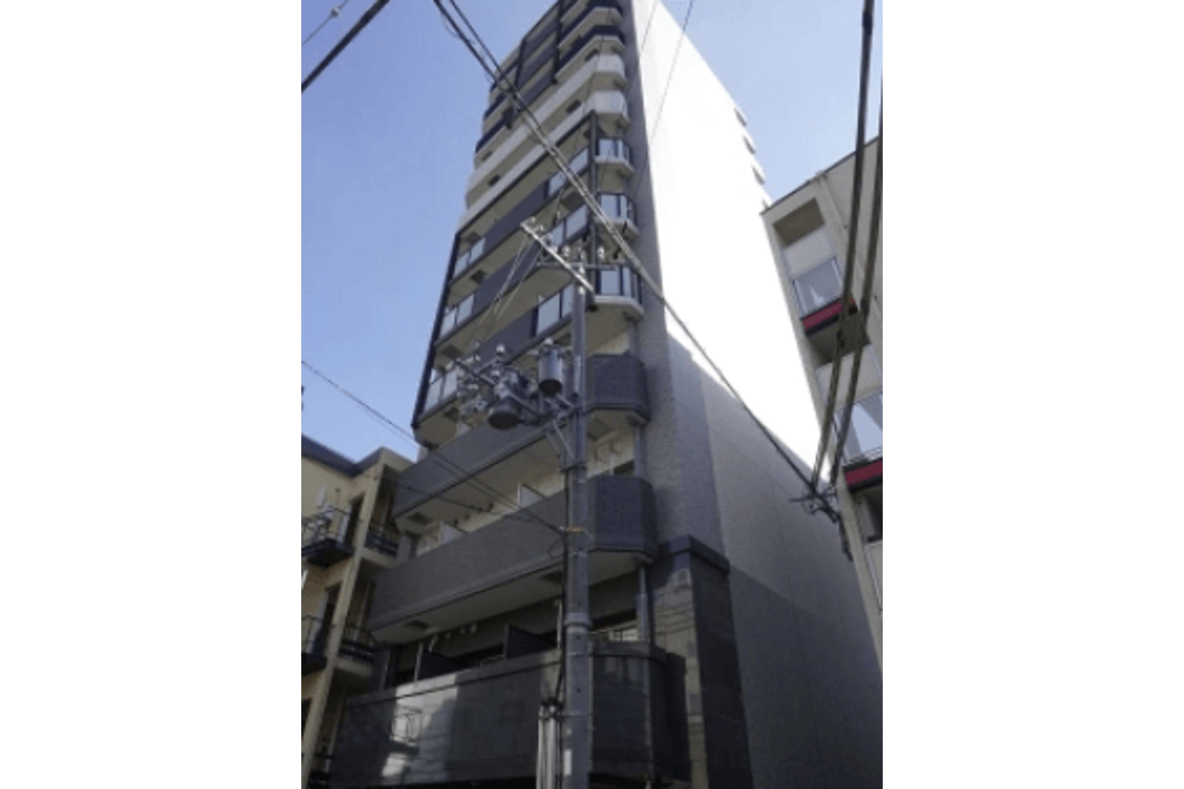 プラチナタイプのイメージ