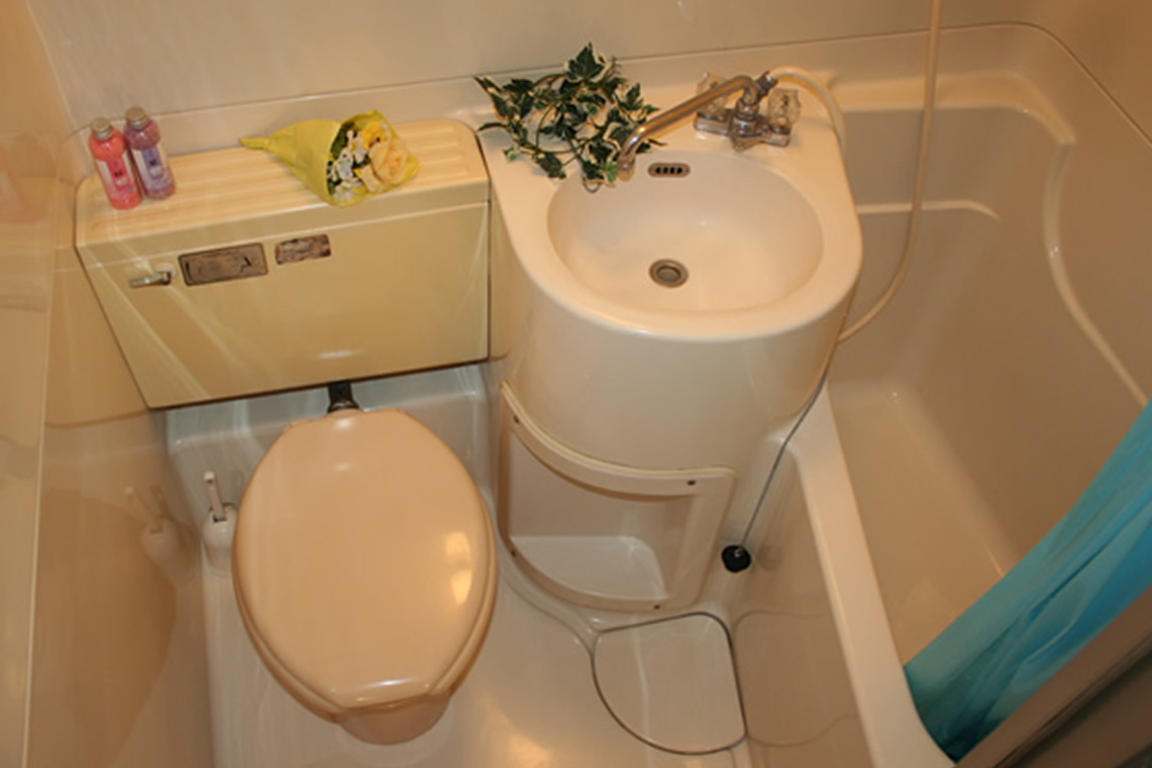 バリュータイプのイメージ