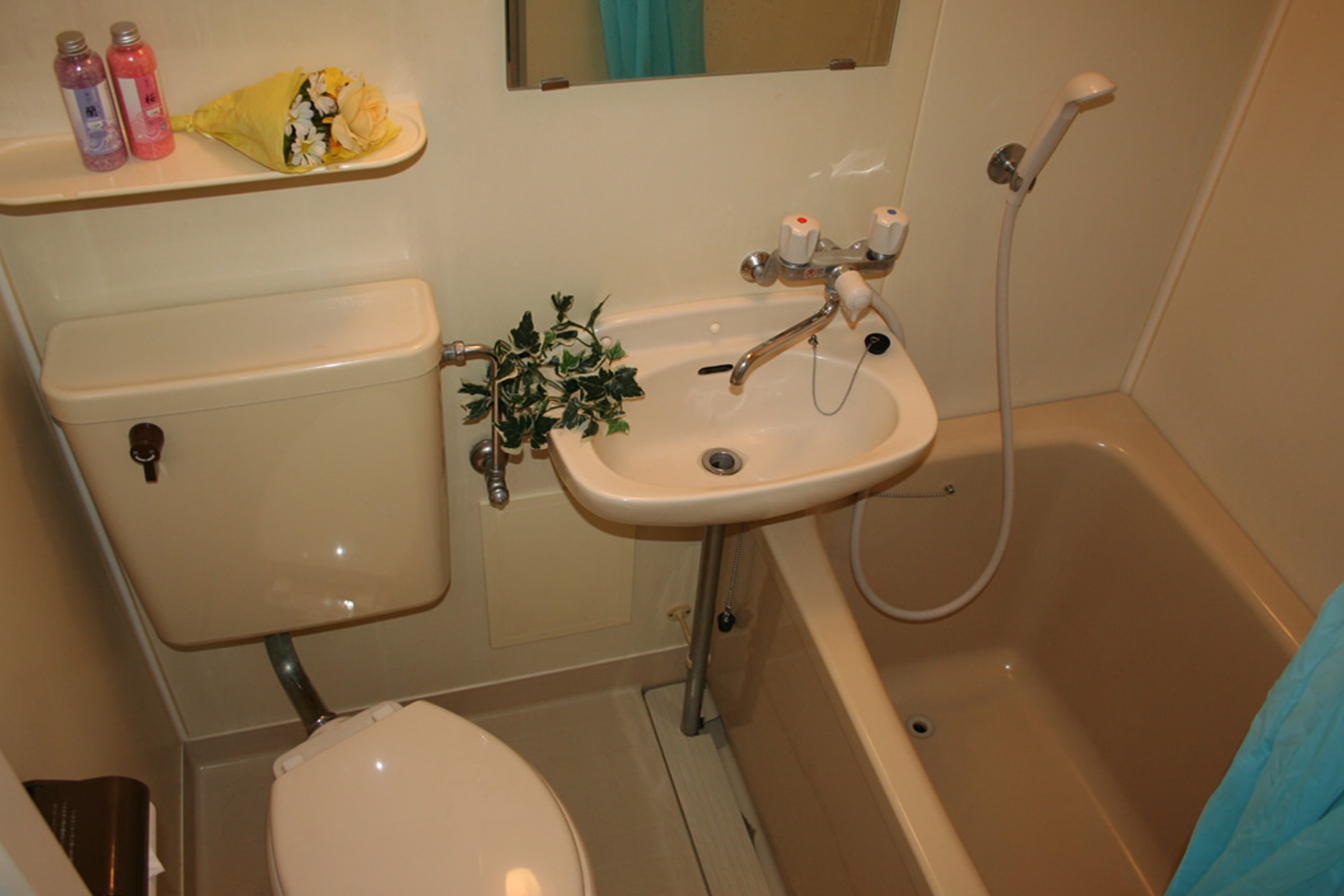 バリュータイプのイメージ