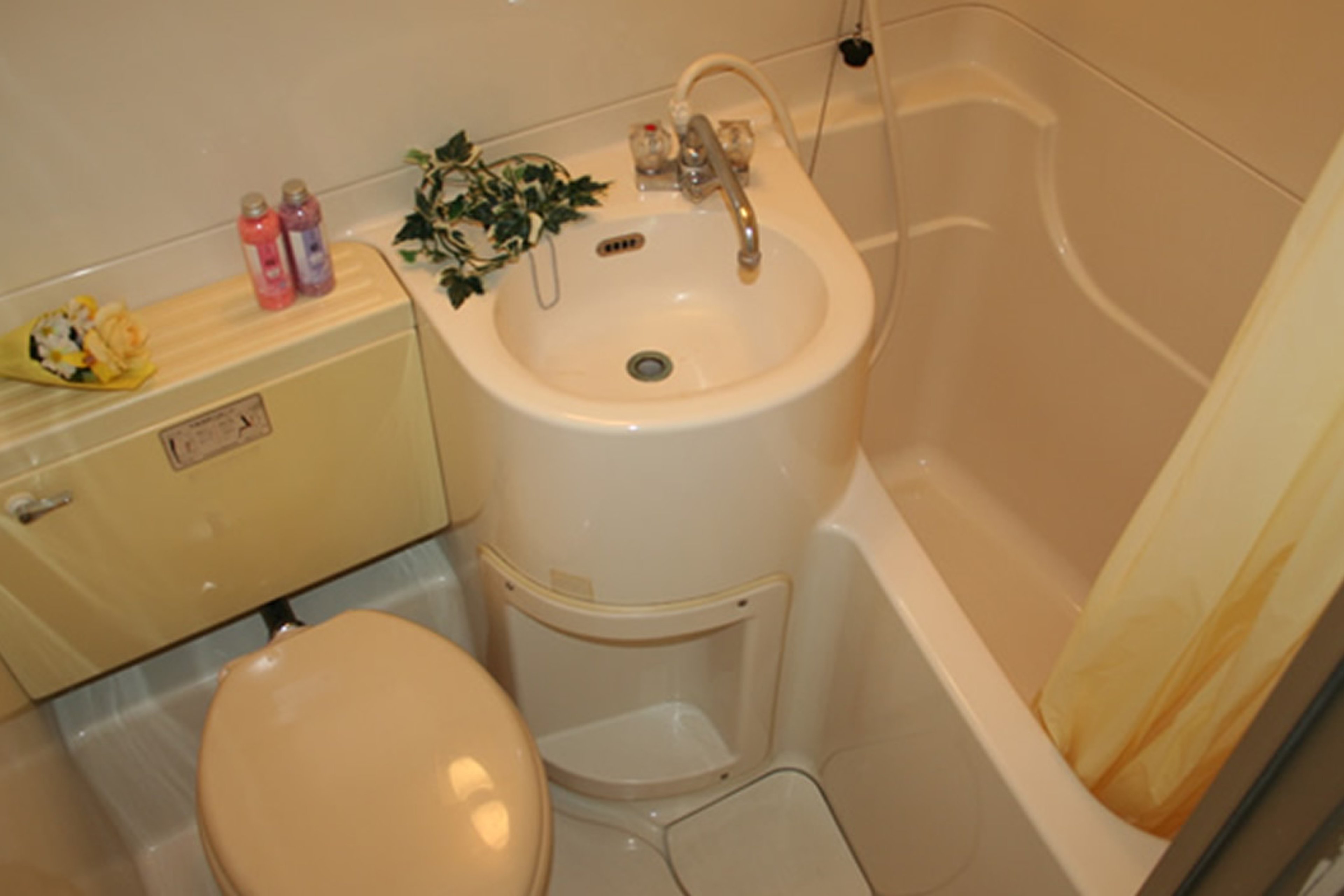 バリュータイプのイメージ