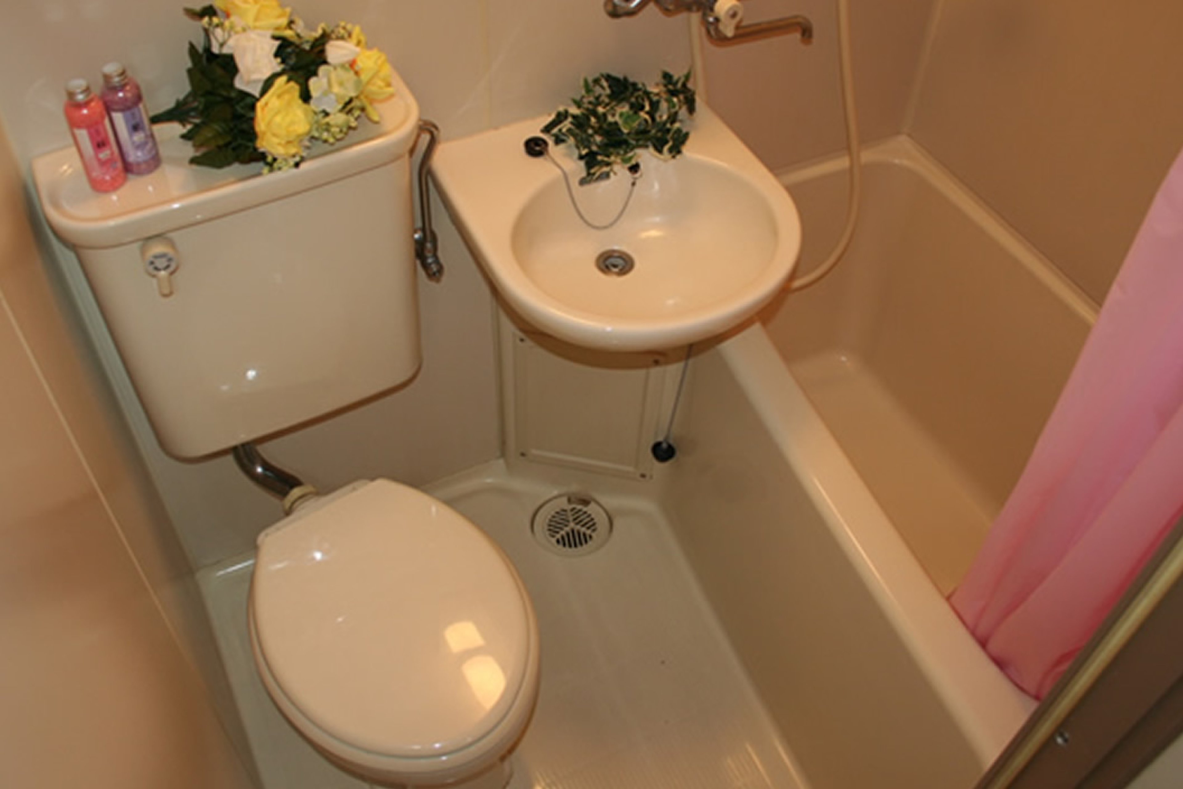 バリュータイプのイメージ